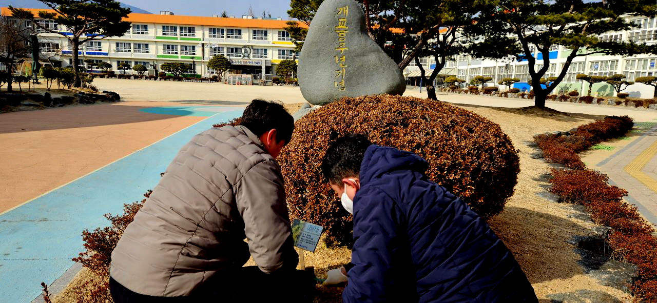 산청초, “우리학교에 피라칸사 살아요!!…산림조합 수목패찰 기부” - 관련이미지2