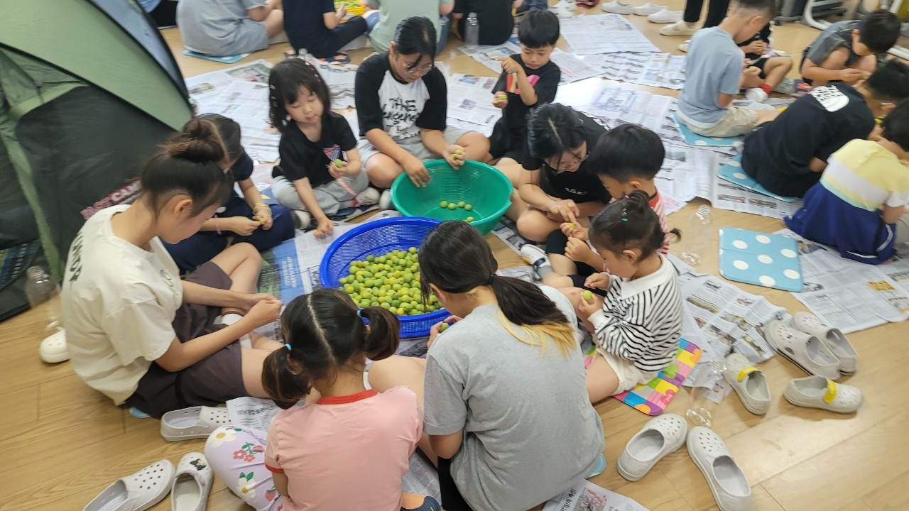 이작초등학교, 매실 체험으로 자연과 나눔을 배우다 - 관련이미지2