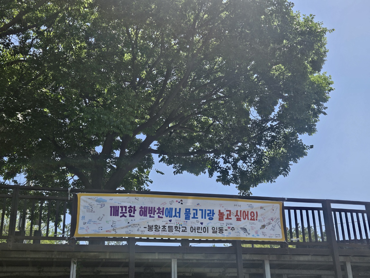 “우리가 지킨 해반천, 푸른 내일을 열어요!”  김해봉황초, 환경의 날 맞아 교육과정 연계 생태 체험활동 펼쳐 - 관련이미지3