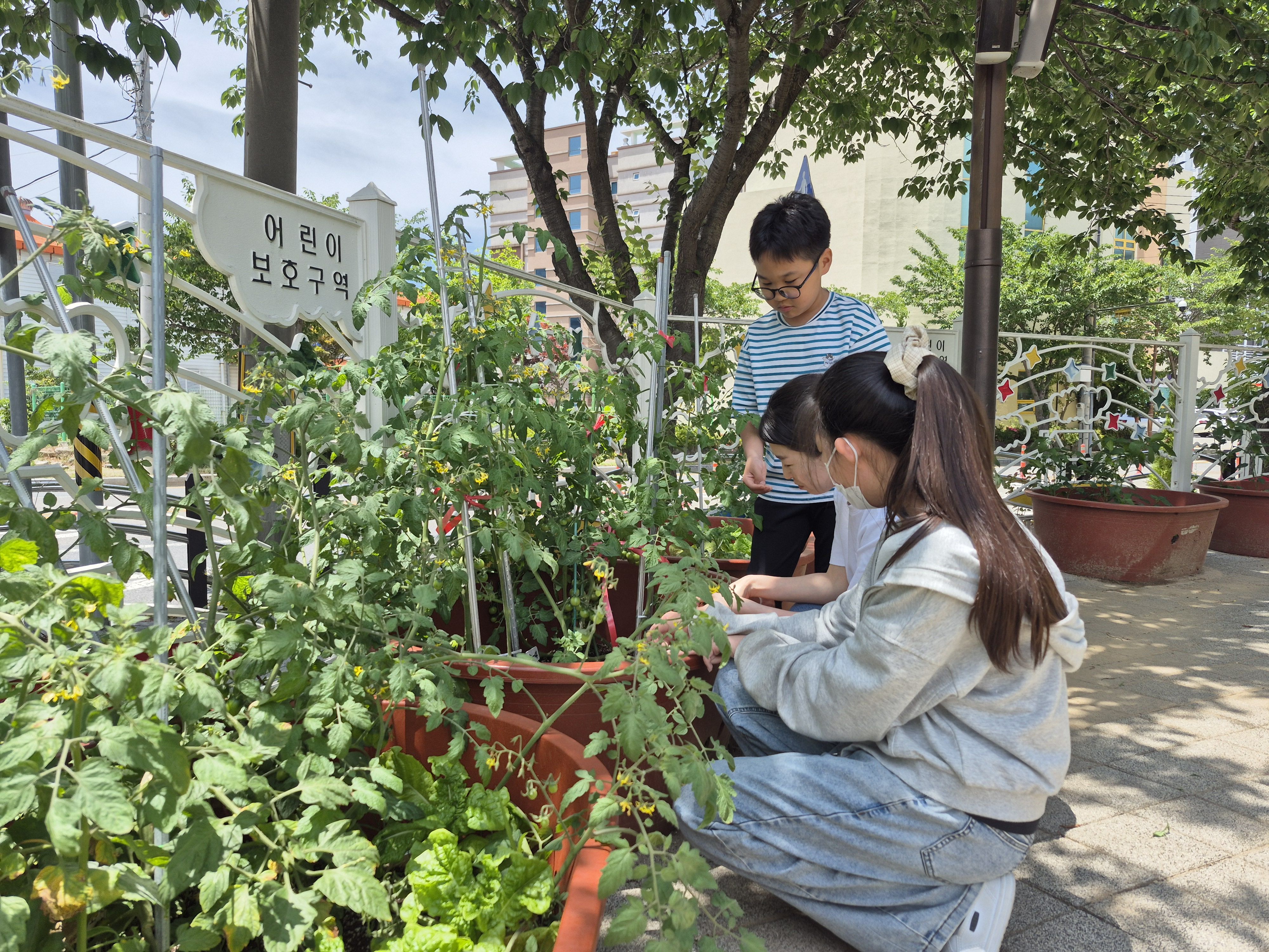 통영 제석초, 우리 손으로 가꾸는 생태 교실 - 관련이미지1