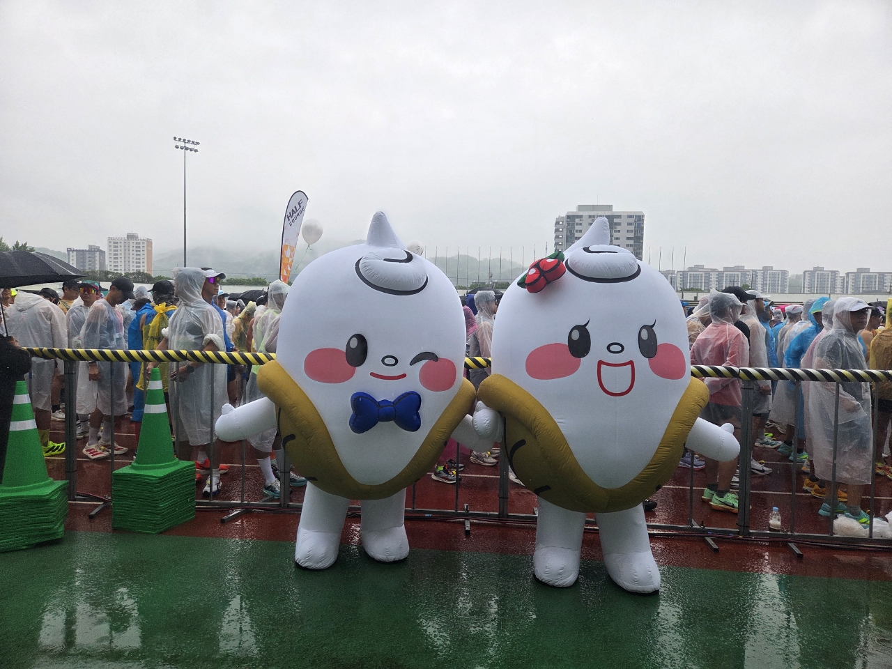 의령교육지원청, 2026. 전국의병마라톤대회 청렴과 봉사로 함께하다! - 관련이미지2