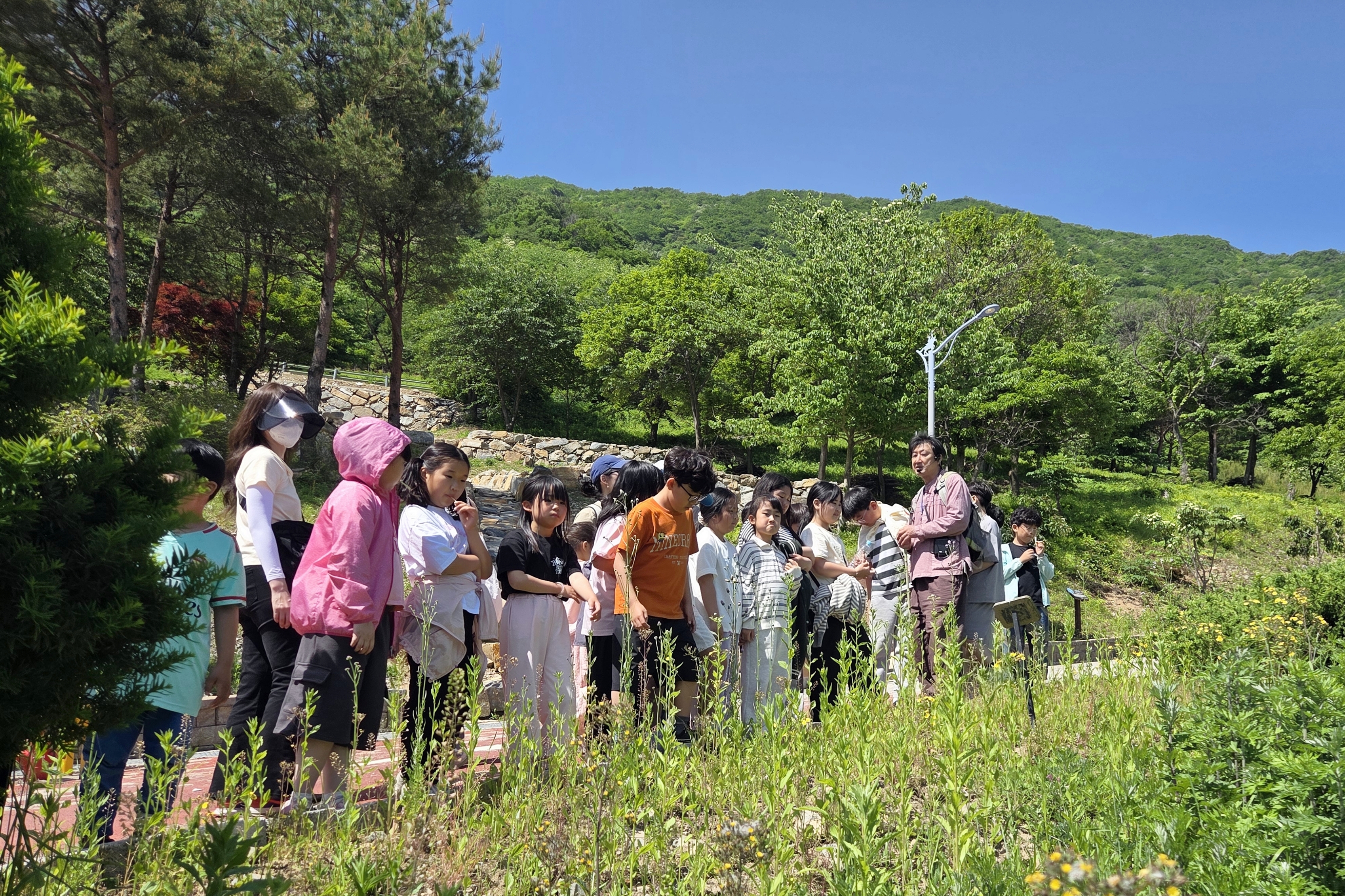 의령교육지원청 환경교육 특구, 「숲 해설사와 함께하는 자굴산 숲 체험 프로그램」운영  - 관련이미지3