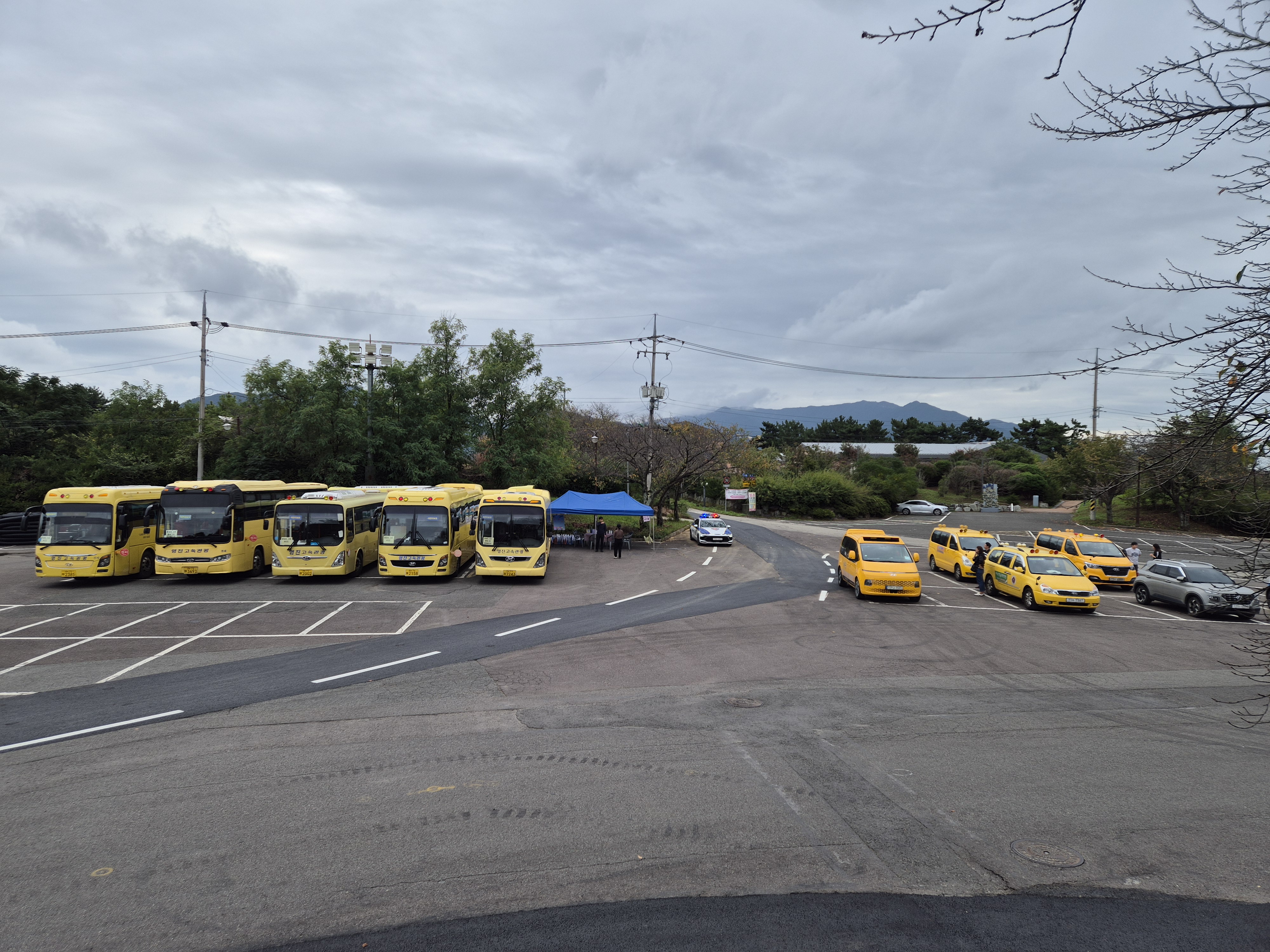  기사님 ! 오늘도 안전하게 데려다주셔서 감사합니다 ! - 관련이미지3