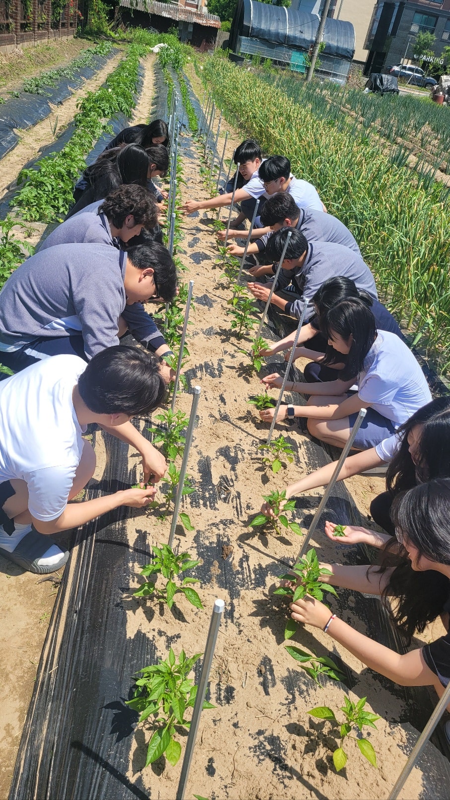 남지고, 제18회 전국 학생4-H 과제경진대회 금상 수상          자원봉사 성과발표, 학교 텃밭 프로젝트 두 부문 금상 쾌거 이뤄 - 관련이미지2