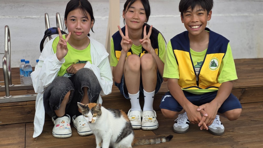 한산초 GCO 환경동아리 동물복지 환경 웹툰 대회 입상 - 관련이미지3