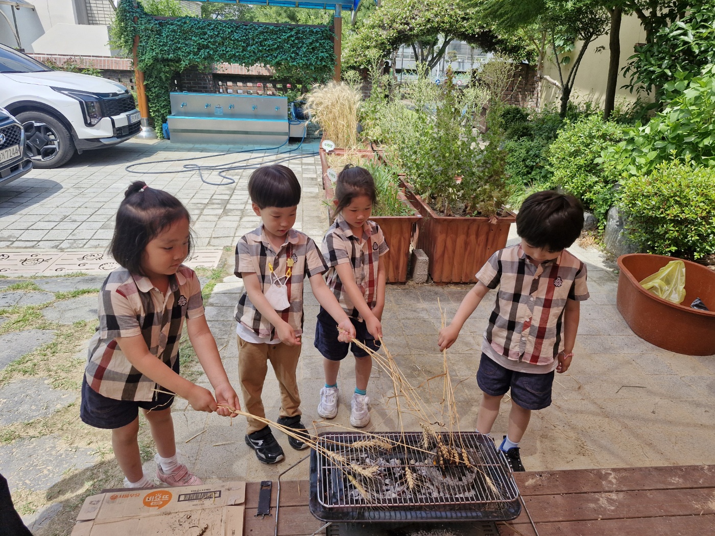 한울유치원, 우리밀로 즐기는 ‘밀서리 체험’ 운영 - 관련이미지2