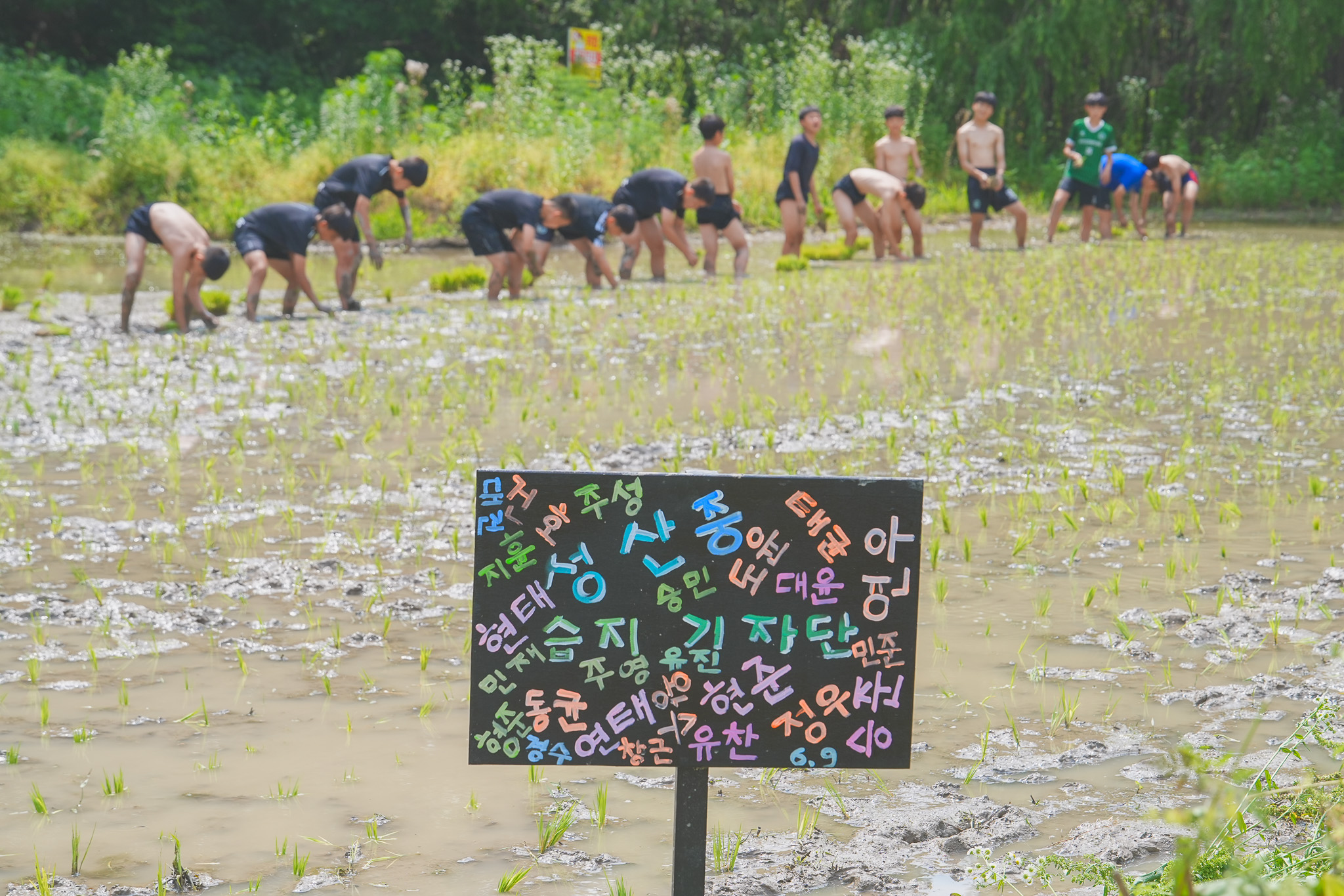성산중학교, 생태 감수성 키우는 모내기 체험활동 실시 - 관련이미지1