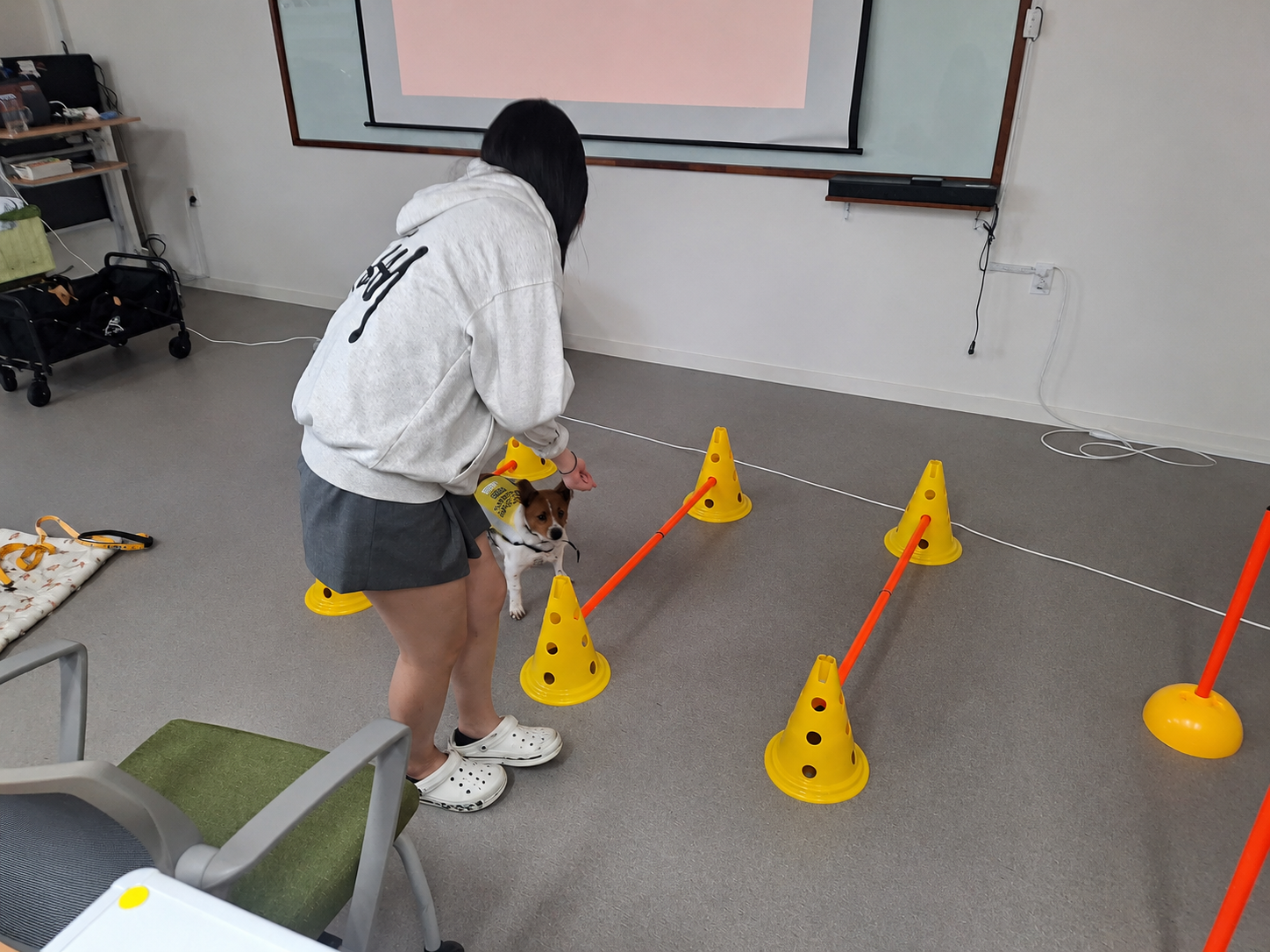 창원Wee센터, 동물매개치료를 활용한 특별교육 특화프로그램‘네 마음을 치유할 개(犬)’운영 - 관련이미지2
