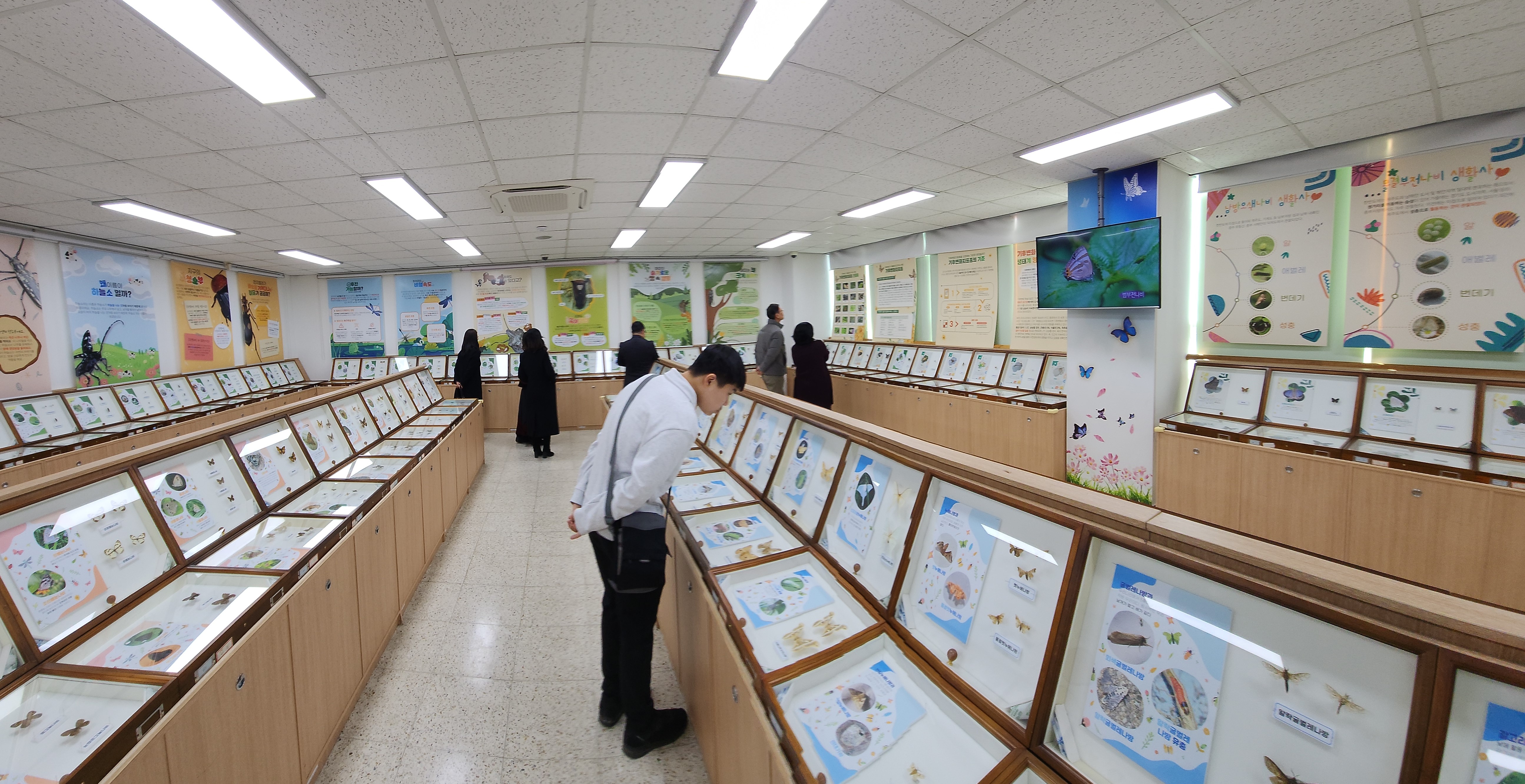 경남과학교육원, 여상덕 곤충 특별전시회 개최! - 관련이미지3