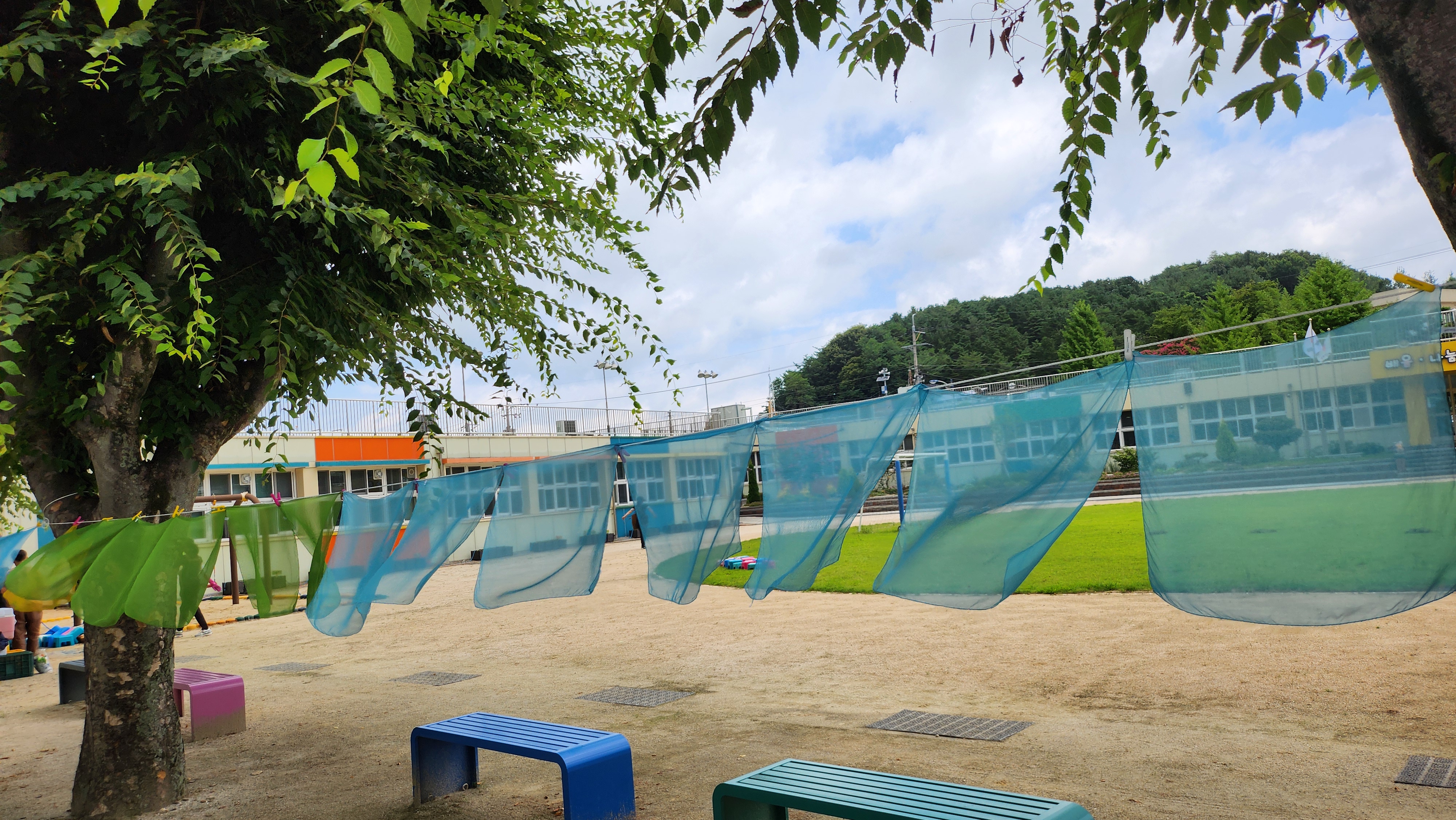 의령 대의초, 우리가 키운 쪽으로 여름을 물들이다 - 관련이미지3