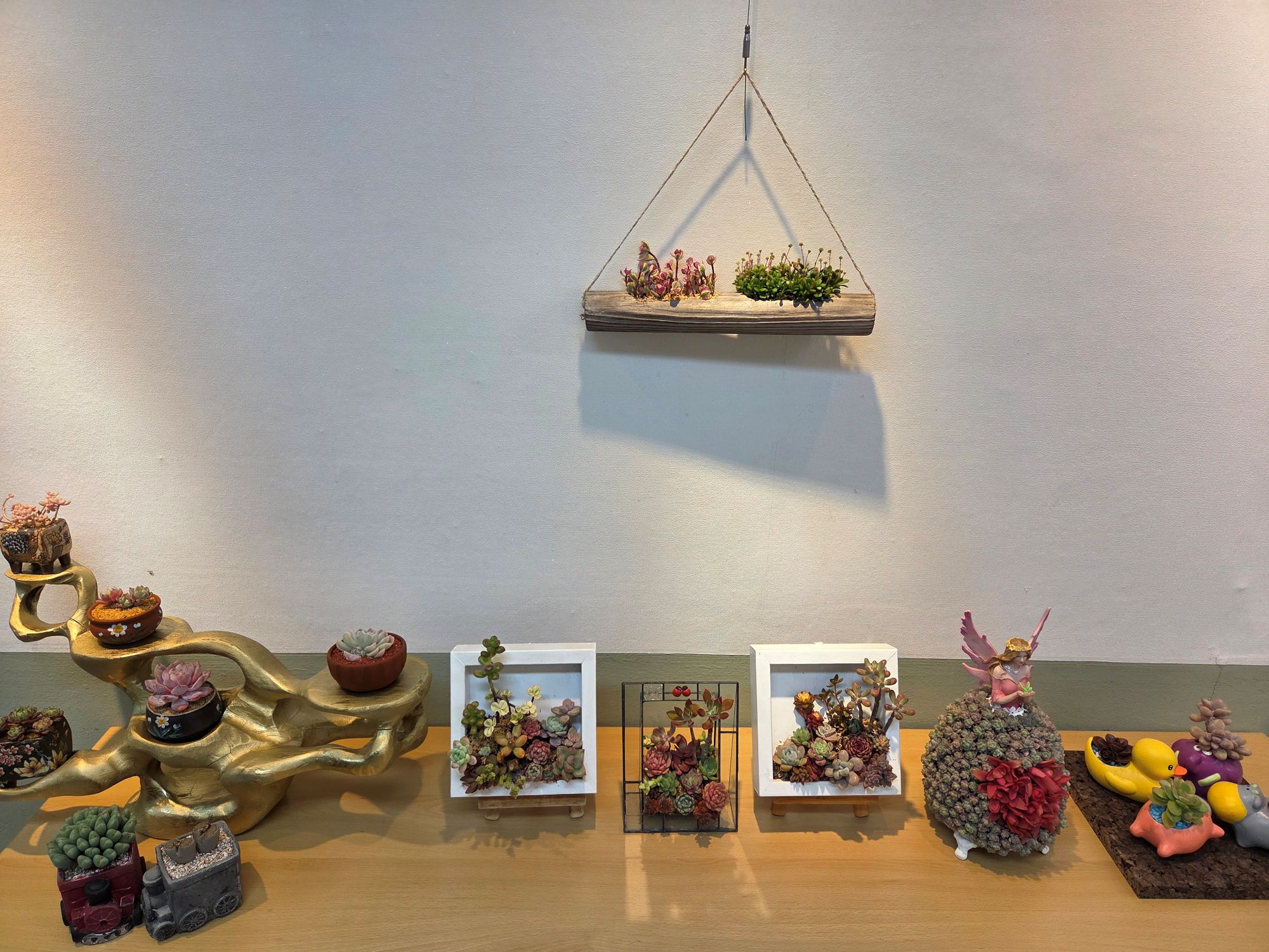 남해도서관, 류성아 개인전 『다육, 새봄을 품다』 개최 - 관련이미지2