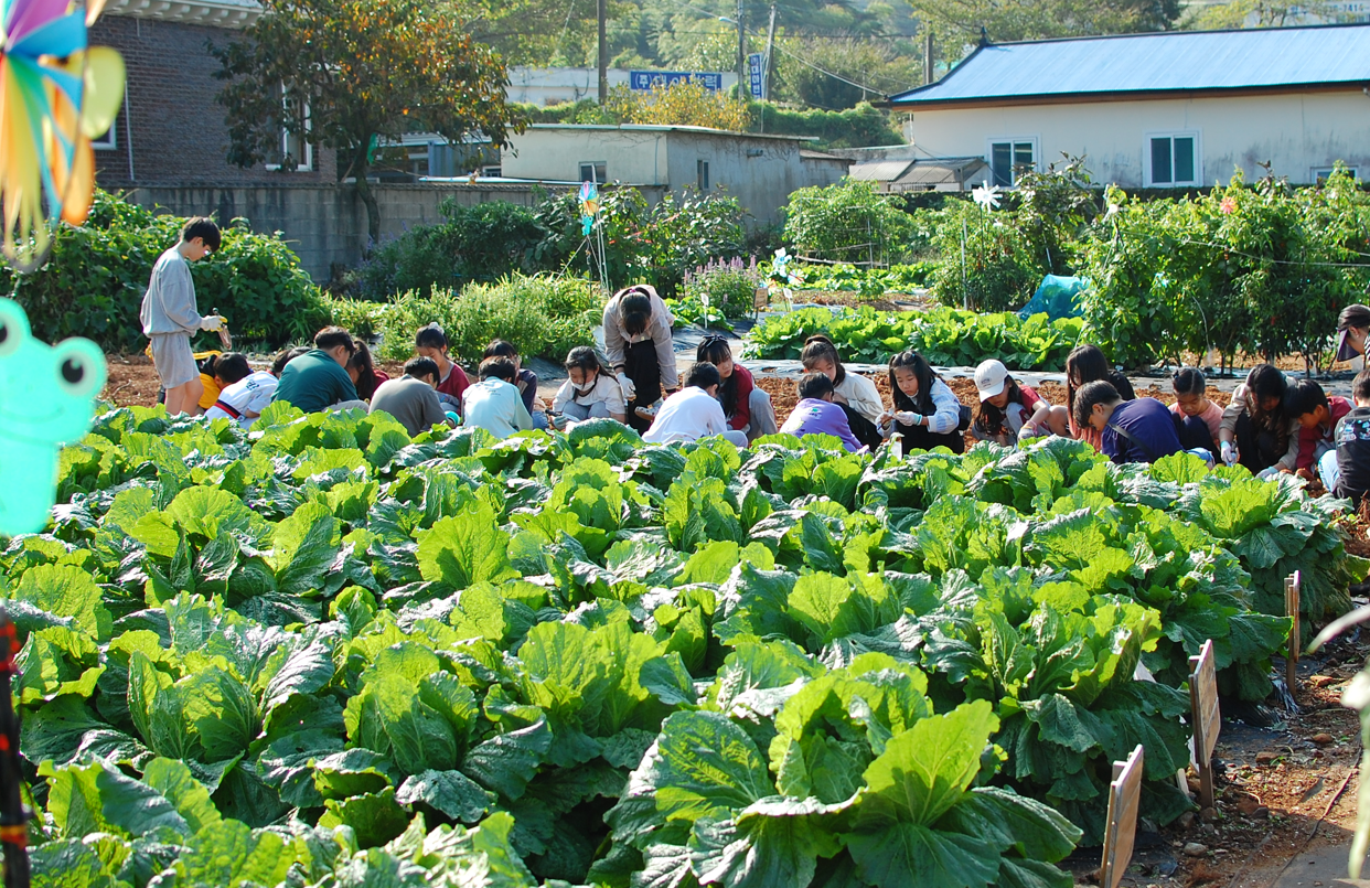 거제양정초등학교, '이웃과 함께 나누는 사랑의 농산물 나눔' - 관련이미지2