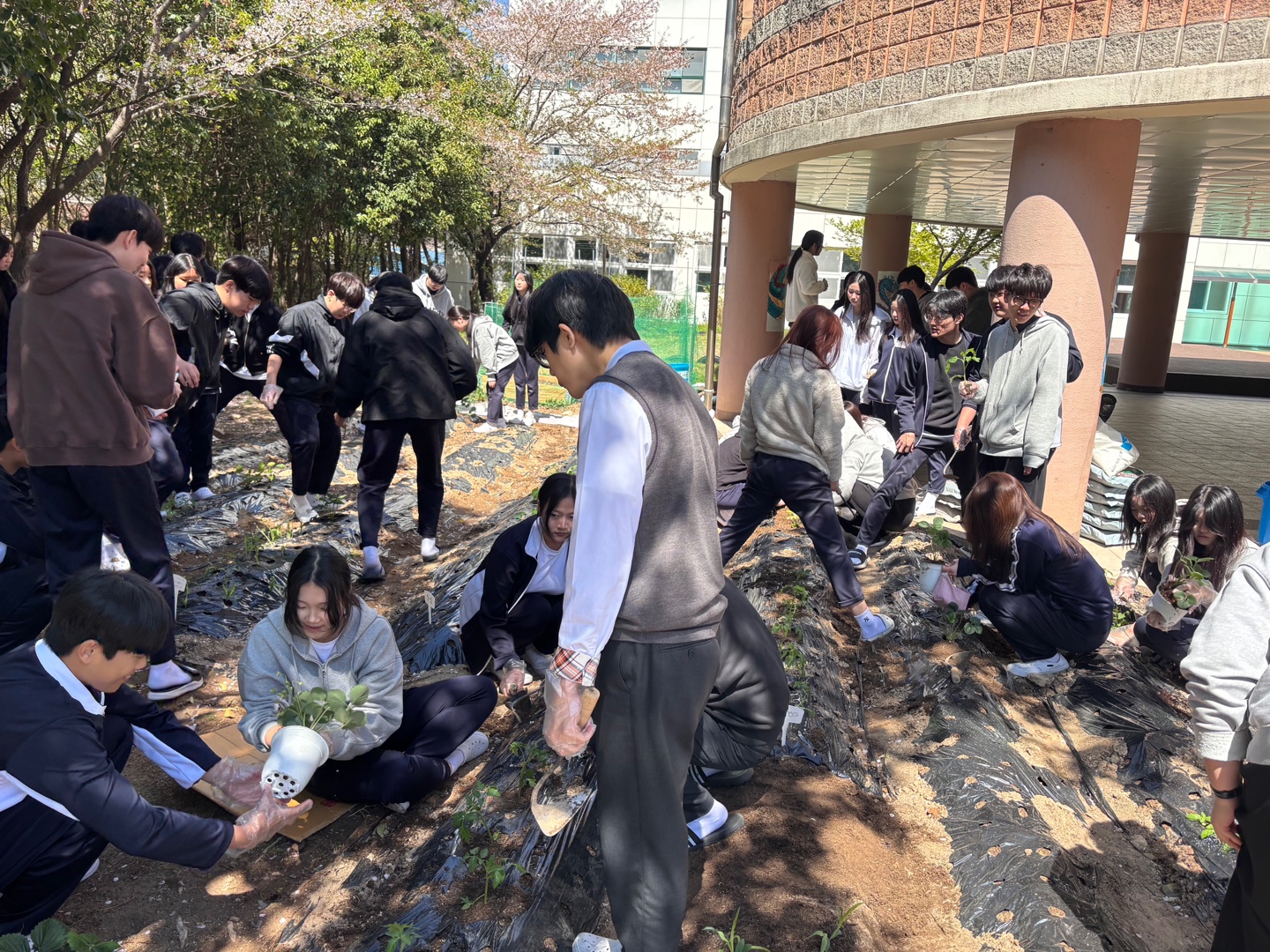 창원용호고, 학교 텃밭 가꾸기로 생태전환교육 본격 실천 - 관련이미지2