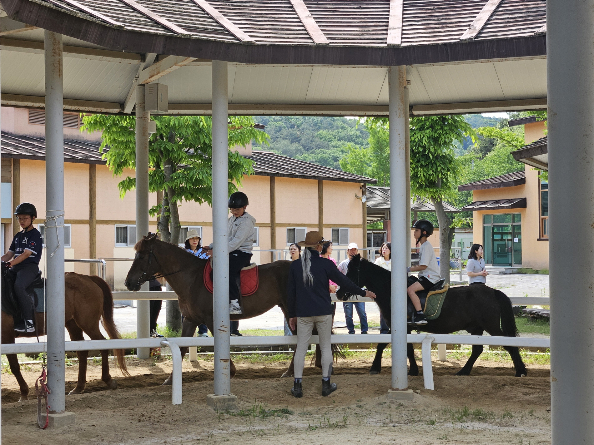 대양초, 방과후학교 승마 프로그램 첫 활동공개 실시 - 관련이미지2