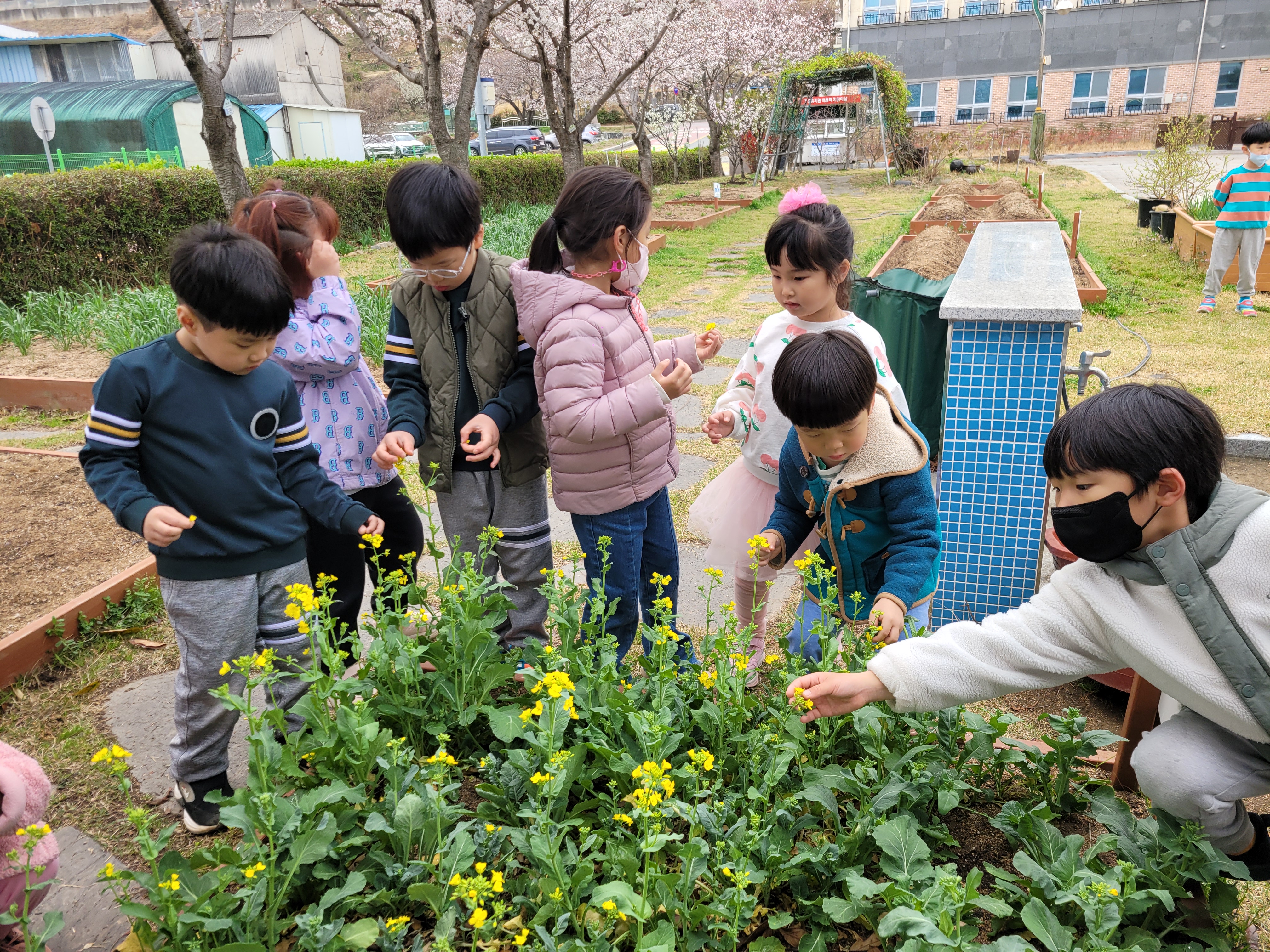 장유유치원, 봄꽃으로 봄을 먹었어요. - 관련이미지3
