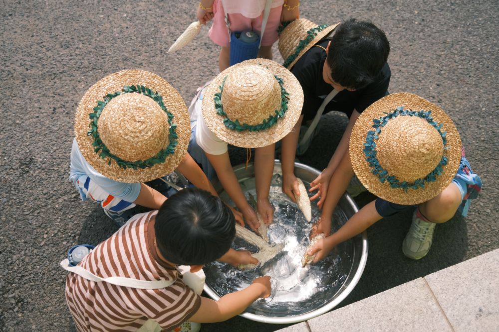 2025. 창녕유치원 텃밭 활동을 통해 나눔과 배려 실천 - 관련이미지3