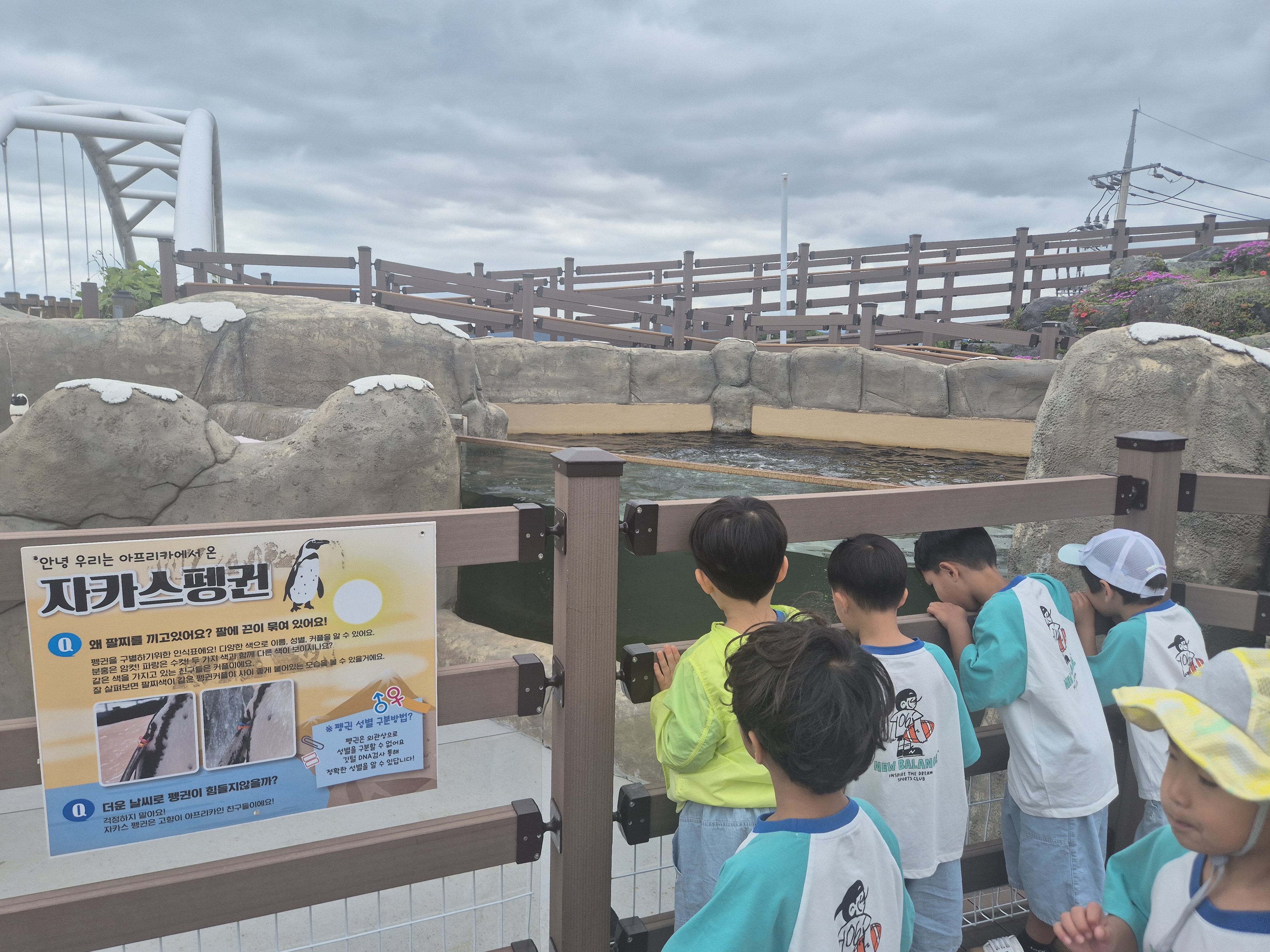 “푸른 바다와 숲속 동물 친구들을 찾아서!  신비한 생태 탐험대” 서진초등학교병설유치원, 사천 아라마루 아쿠아리움 및 동물원  현장체험학습 실시 - 관련이미지2