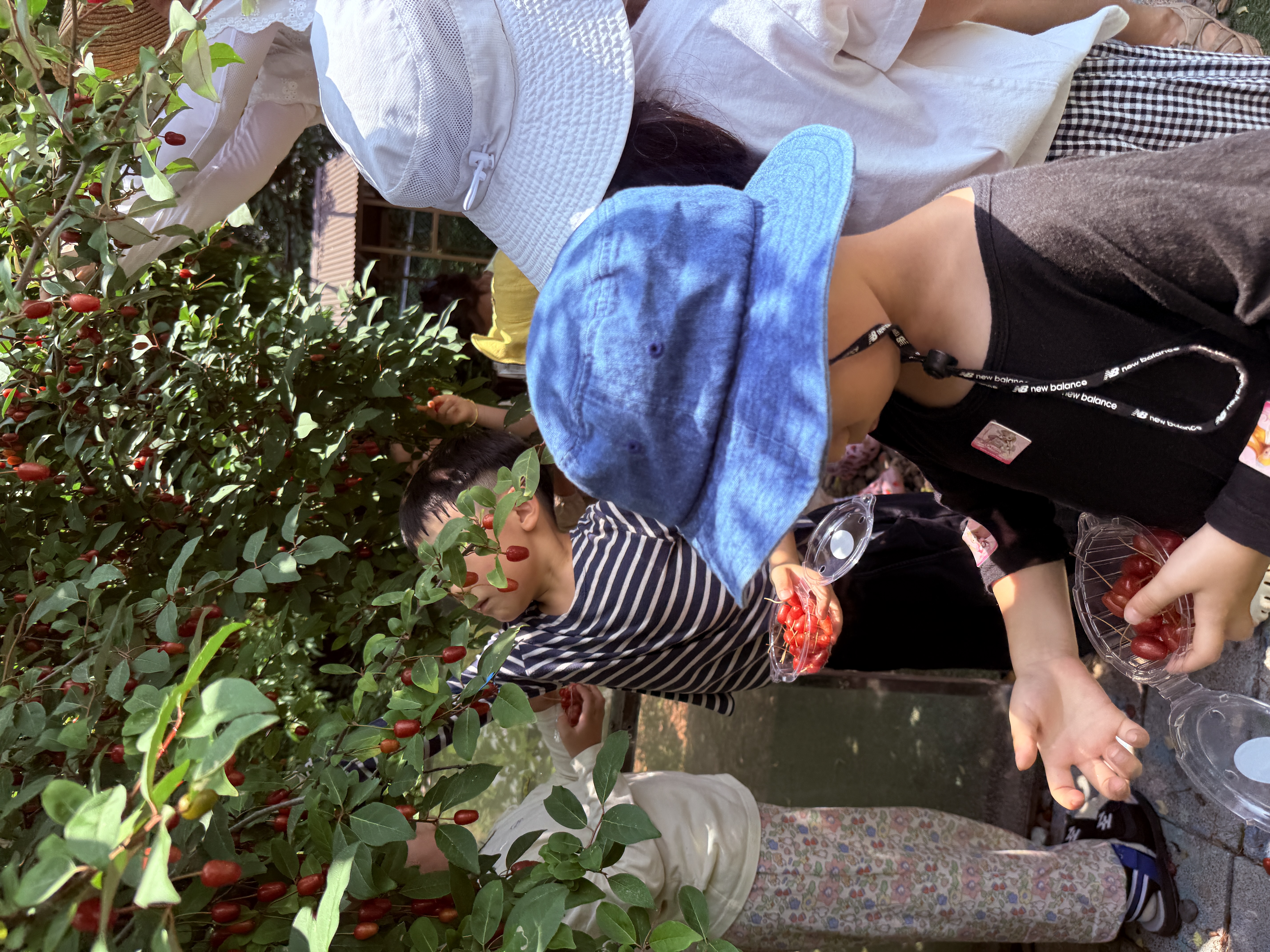 구산초구서분교장병설유치원-여름 숲에서 놀아요(유치원 이음교육 꿈키움 놀이) - 관련이미지1