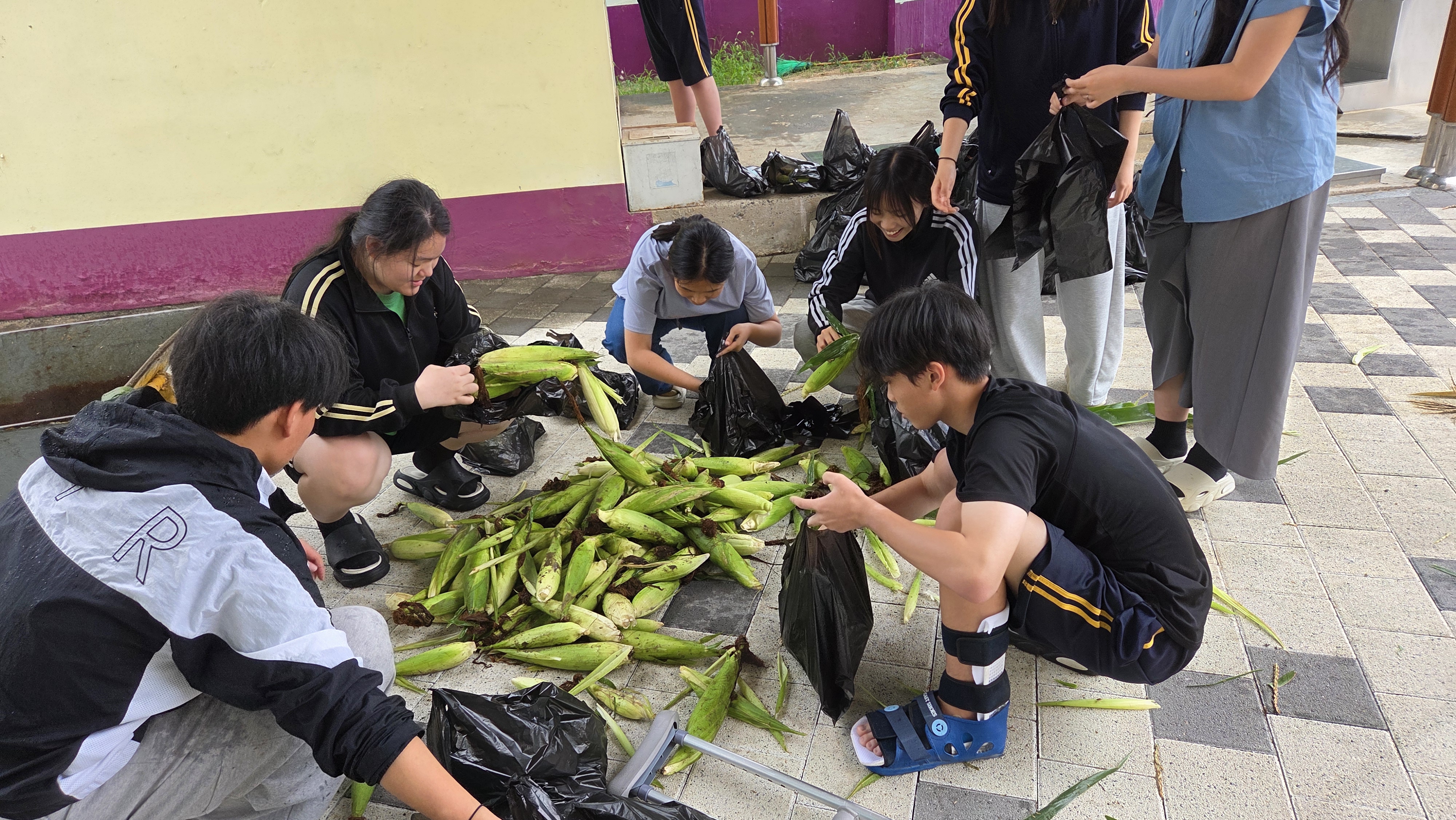 삼가중--나눔과 배려를 통한 수박-옥수수 전교생 집 배달 및 경로당 등 나눔 - 관련이미지3