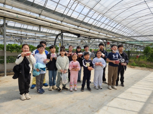 <병곡초> 딸기농장 체험학습 - 관련이미지1