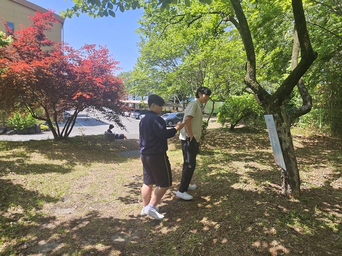 창녕 영산중학교 시화전 <영산 시숲> - 학생 참여로 탄생한 34편의 시, 숲을 이루다 - - 관련이미지2