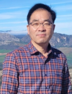 [기고] 플라타너스의 눈물 - 관련이미지1