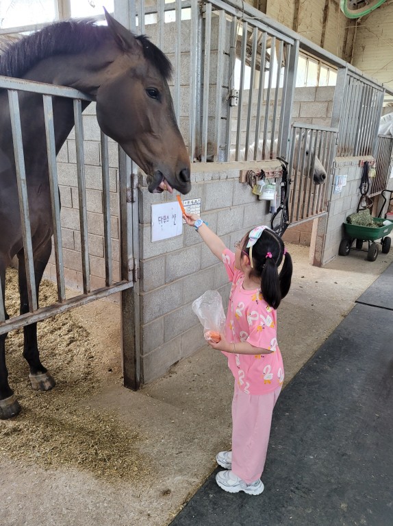 “말과 함께 자라요 ! -유아승마체험으로 몸과 마음이 건강하게 - 관련이미지2