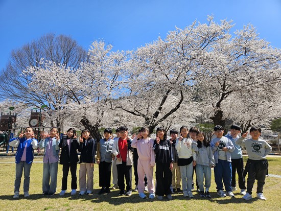 백전초, 세 학교가 함께 여는 ‘벗과 꽃! 함께 하는 새출발!’ - 관련이미지1