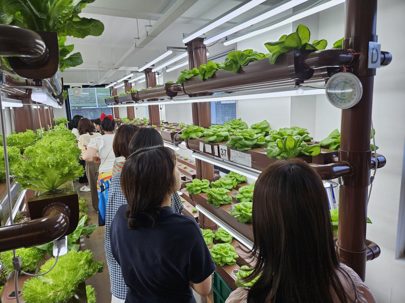 진주체험분원, 우리 먹거리, 과학을 품다!  교원 과학체험 운영 - 관련이미지3