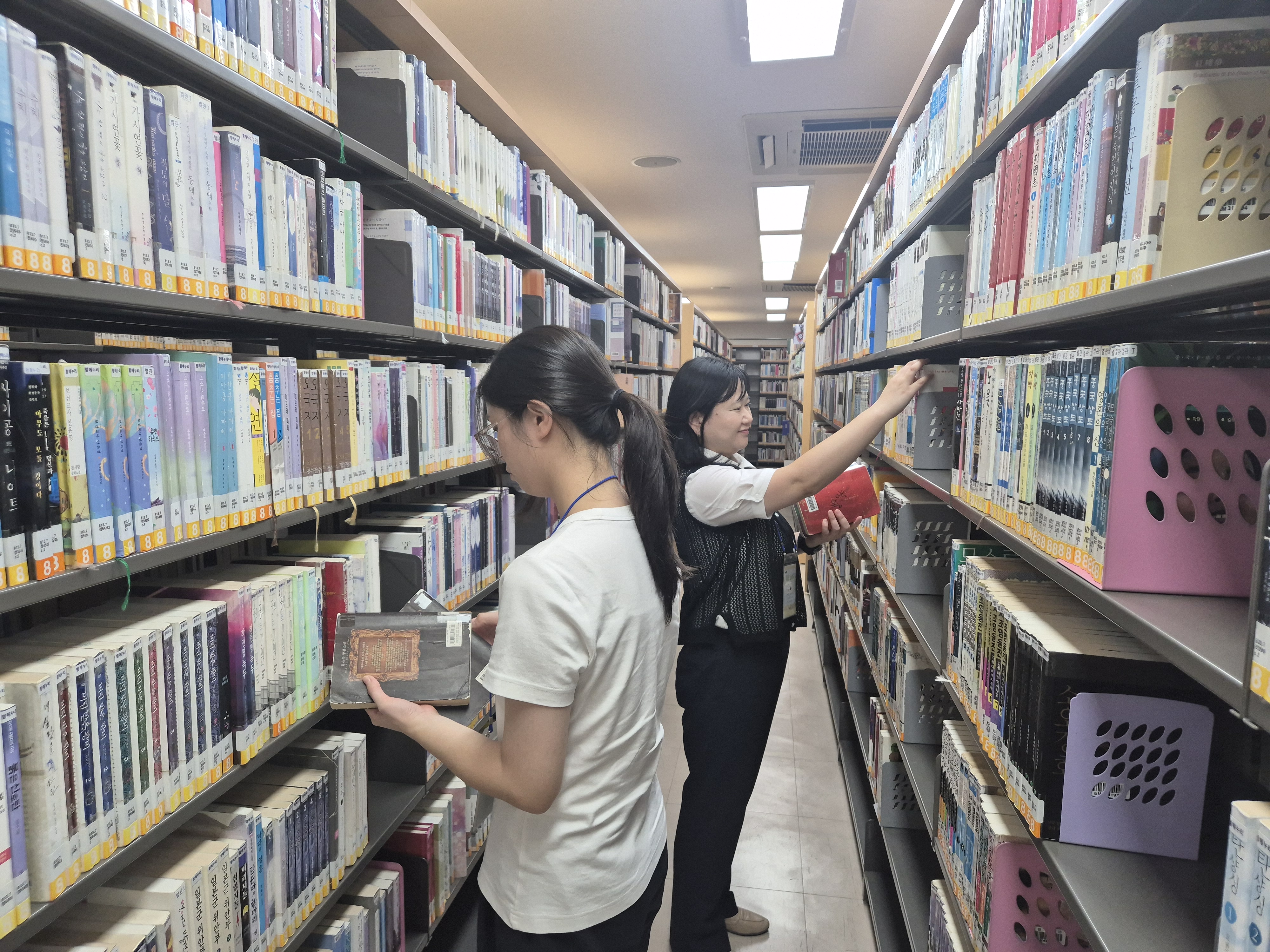 사서직의 첫걸음, 창원도서관에서 시작하다 - 관련이미지2