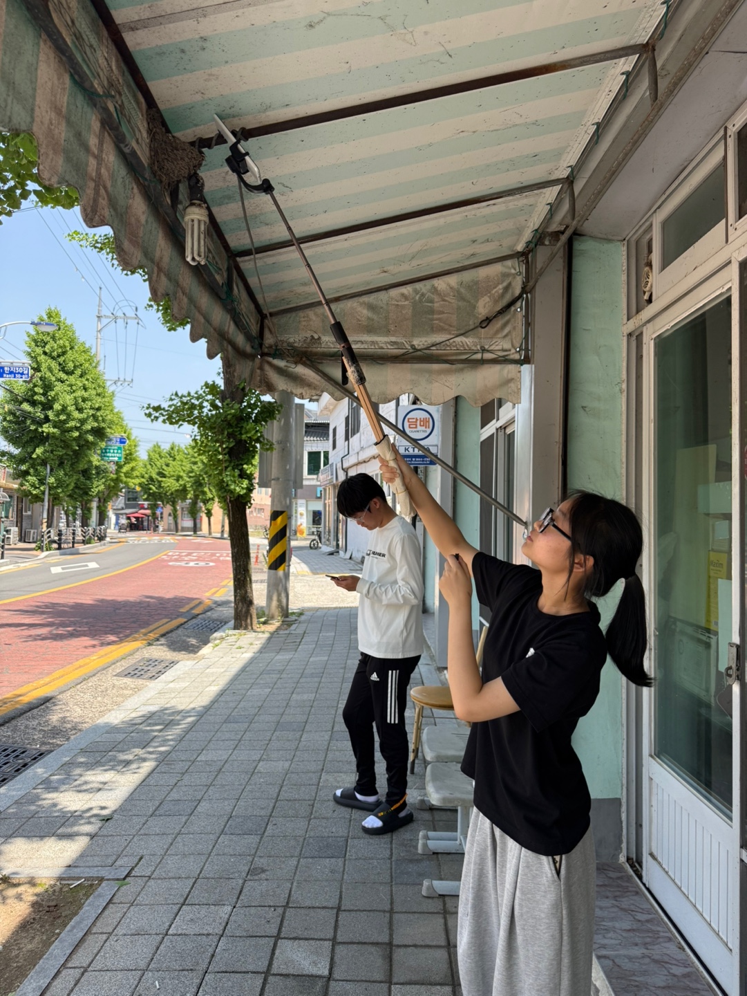 신반정보고, 제비생태탐구프로젝트 우수동아리 선정 - 관련이미지1