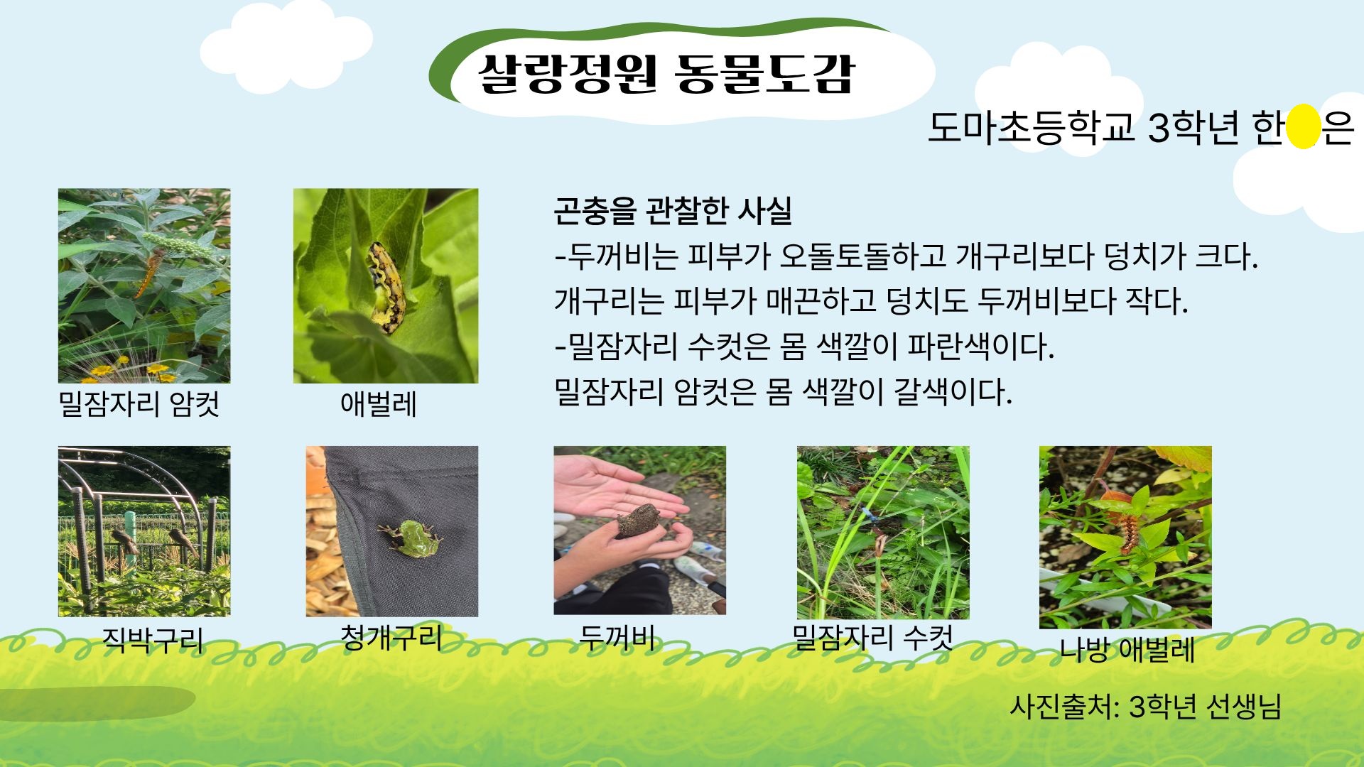 도마초, 스쿨팜이 키운 생태연구소 ‘살랑정원’ - 관련이미지2
