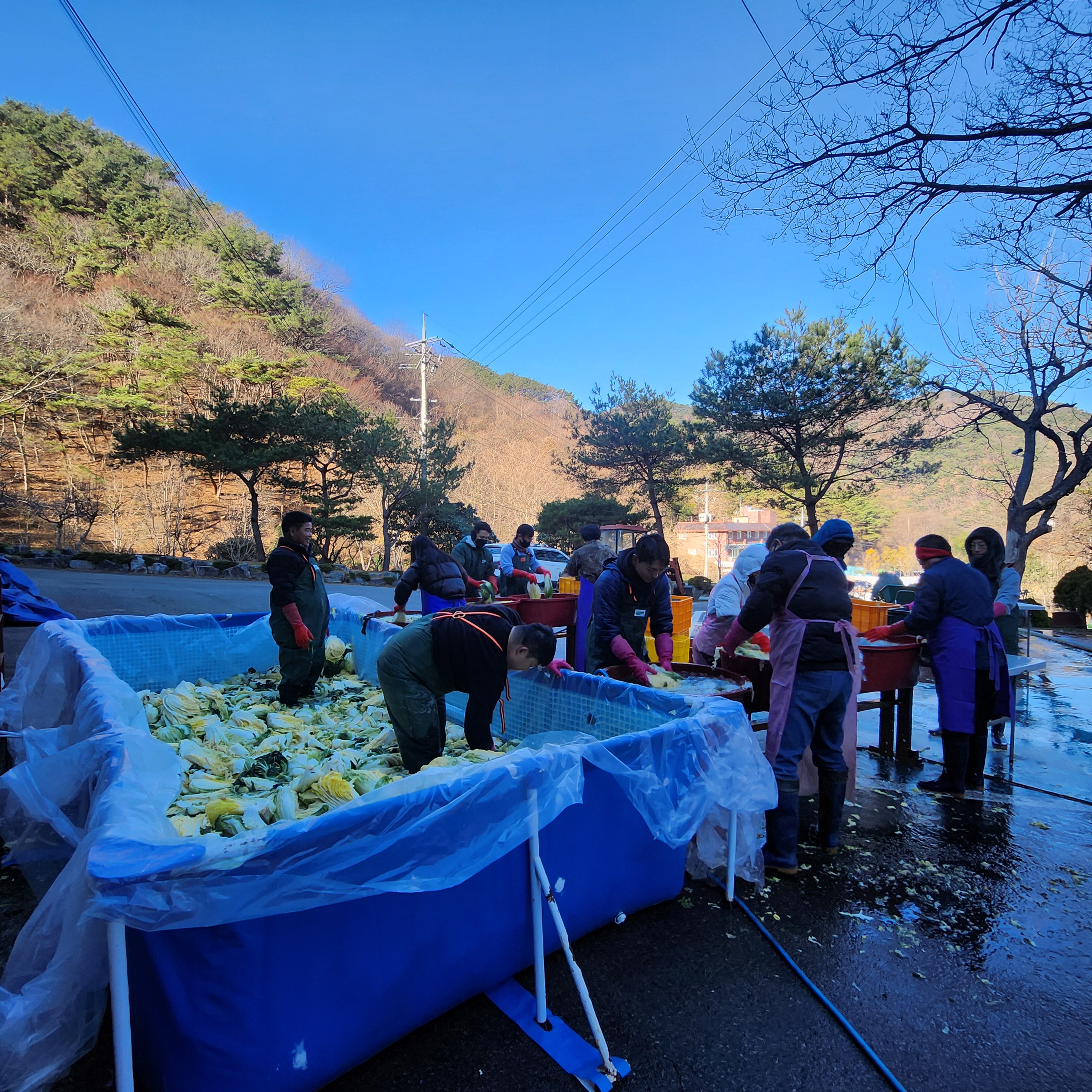 고성교육지원청,‘천사의 집’찾아 김장담기 봉사활동 펼쳐 - 관련이미지3
