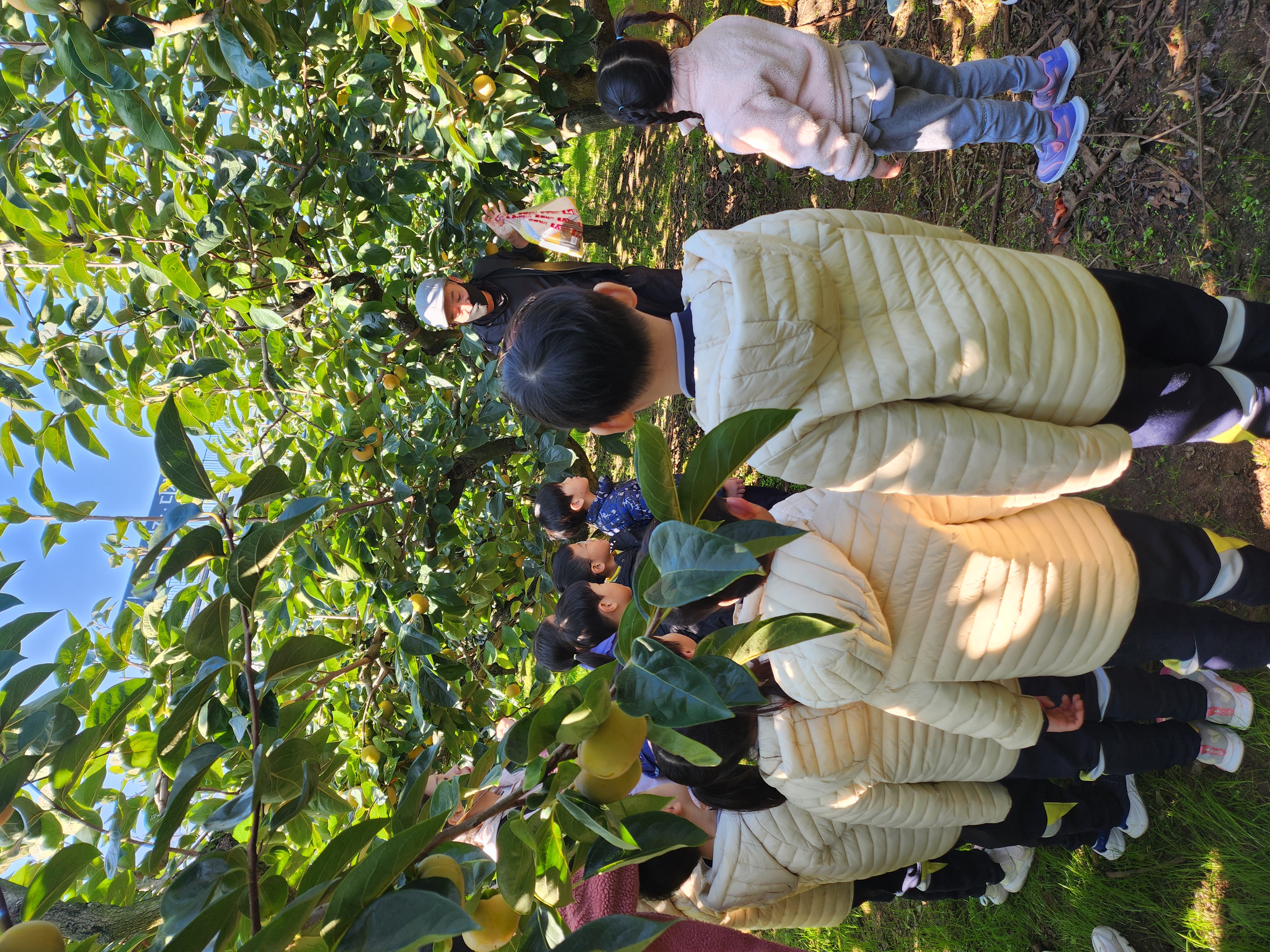 삼정자병설유치원, 협동현장체험학습 실시 - 관련이미지1