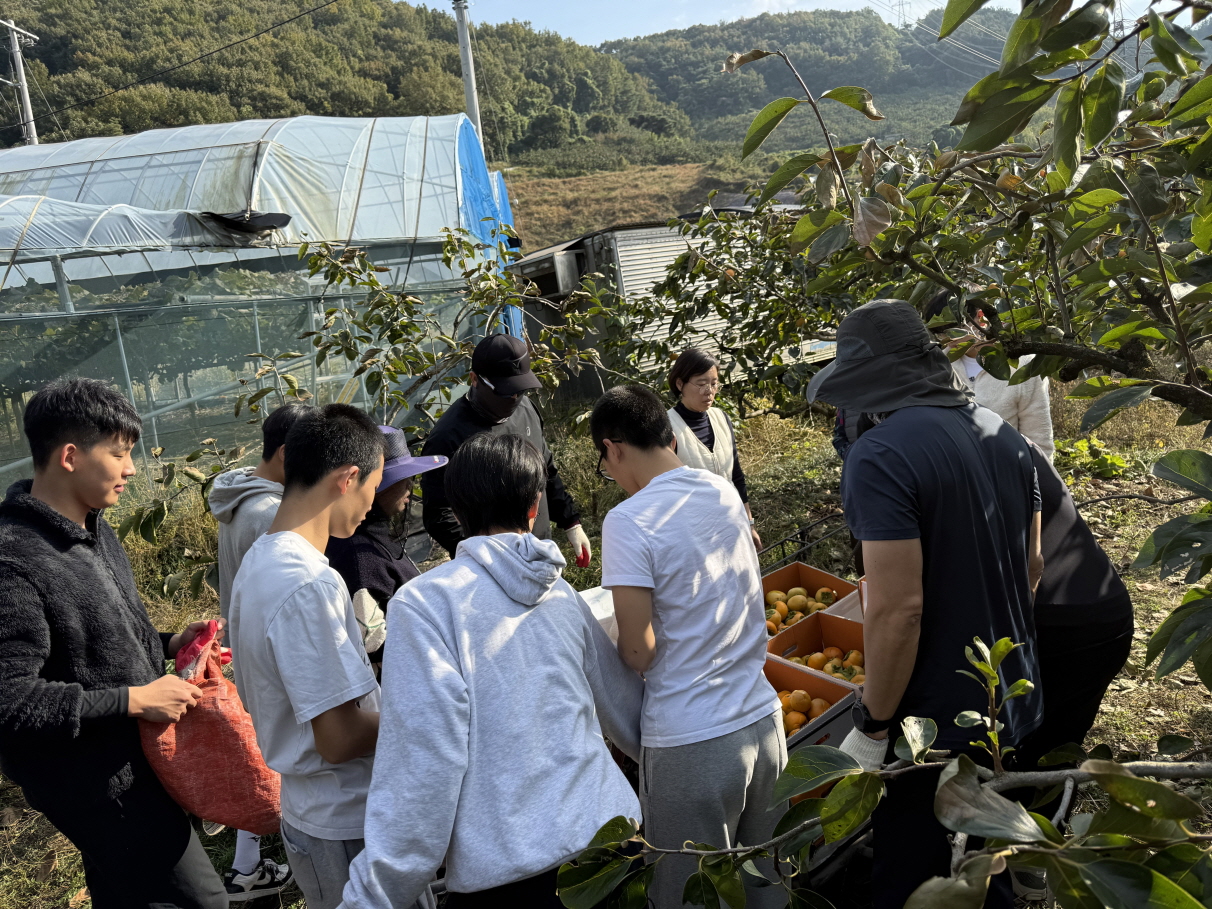낙동강학생교육원 칠북분원, 가을 수확기 일손 돕기 나서 - 관련이미지3