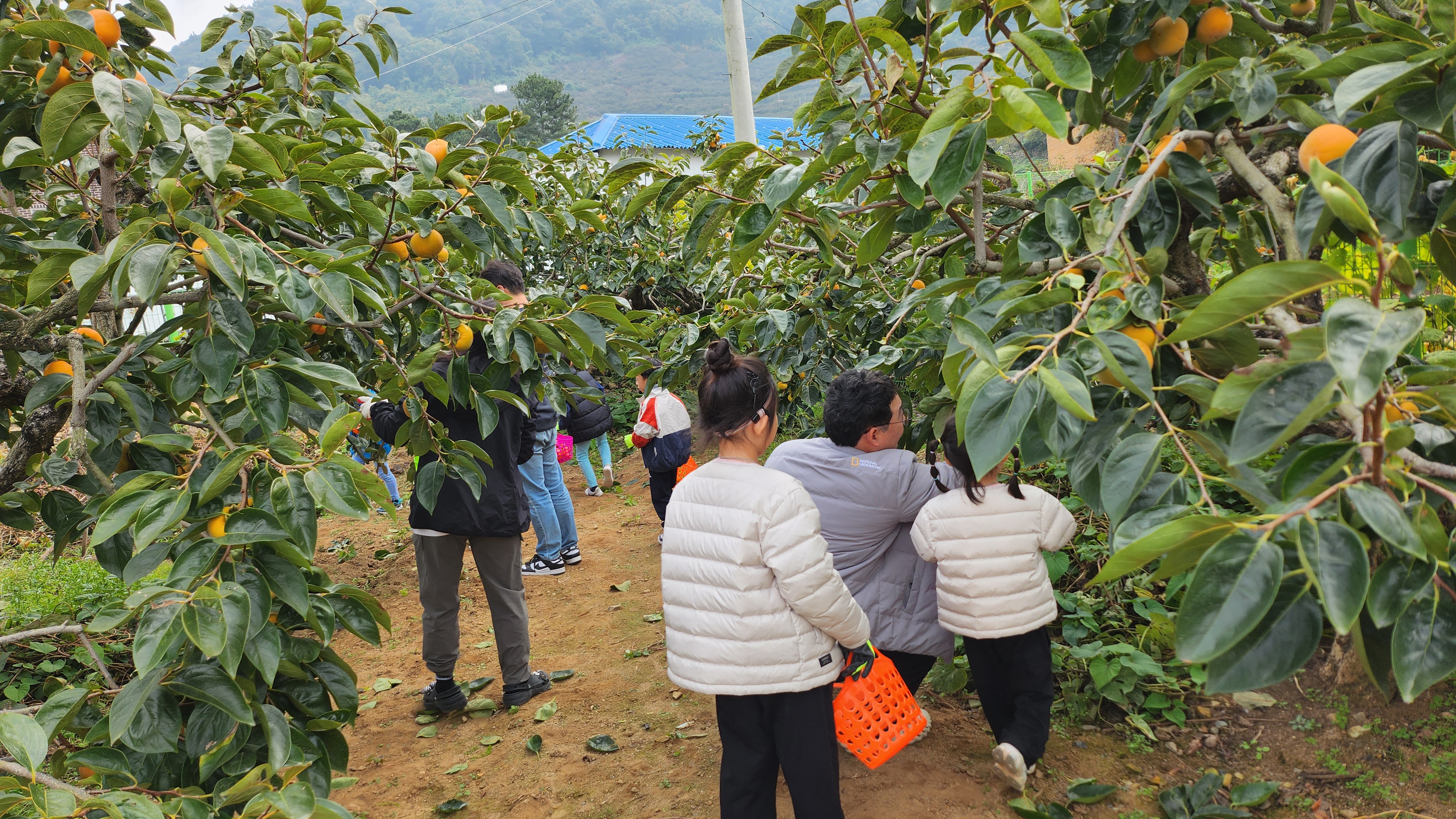 하천초등병설유치원, 교육공동체가 함께하는 유-초연계 이음교육 - 관련이미지1