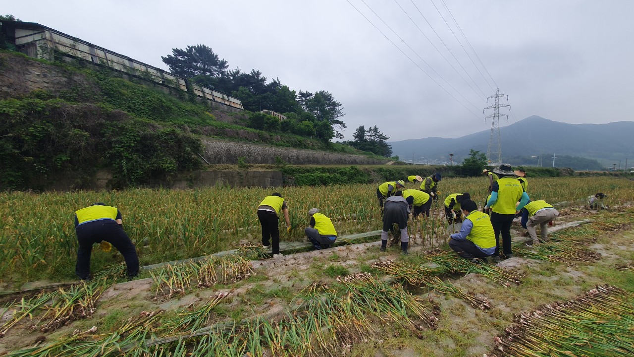 남해교육지원청, 청렴봉사단 농촌봉사활동 펼쳐 - 관련이미지2