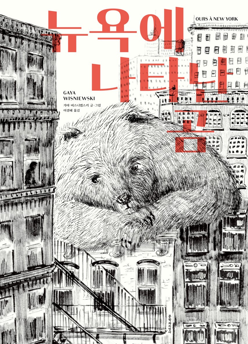 경남교육가족에게 권하는 1월의 책(초등저)-뉴욕에 나타난 곰 - 관련이미지1