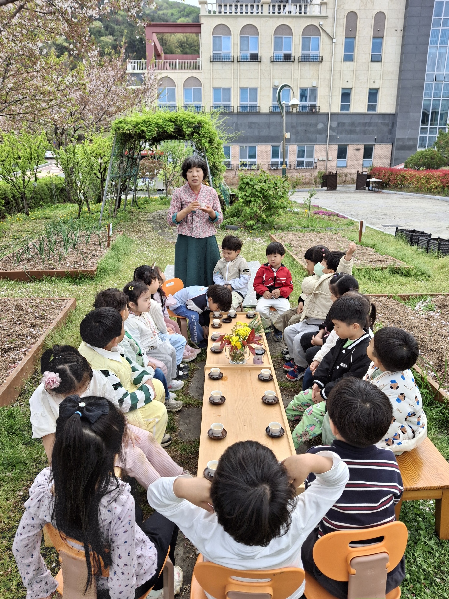 장유유치원, 벚꽃 향기 가득, 벚꽃차 마시기 체험 활동 실시 - 관련이미지1