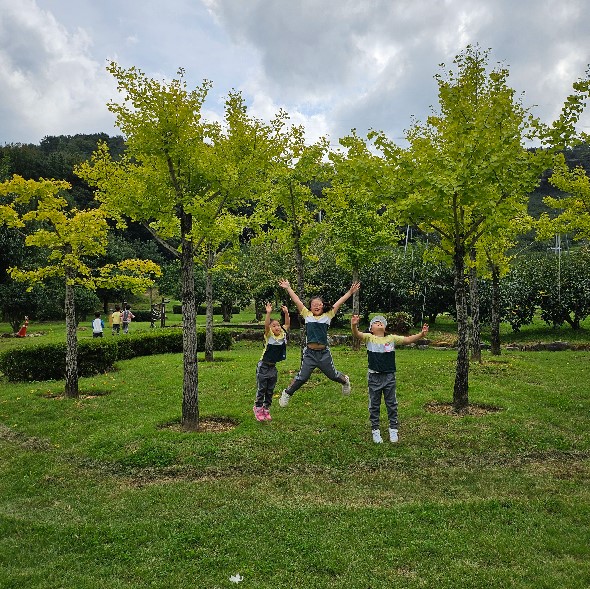 석전초등학교병설유치원, 창원단감테마공원 방문 및 고추장 만들기 체험 - 관련이미지3