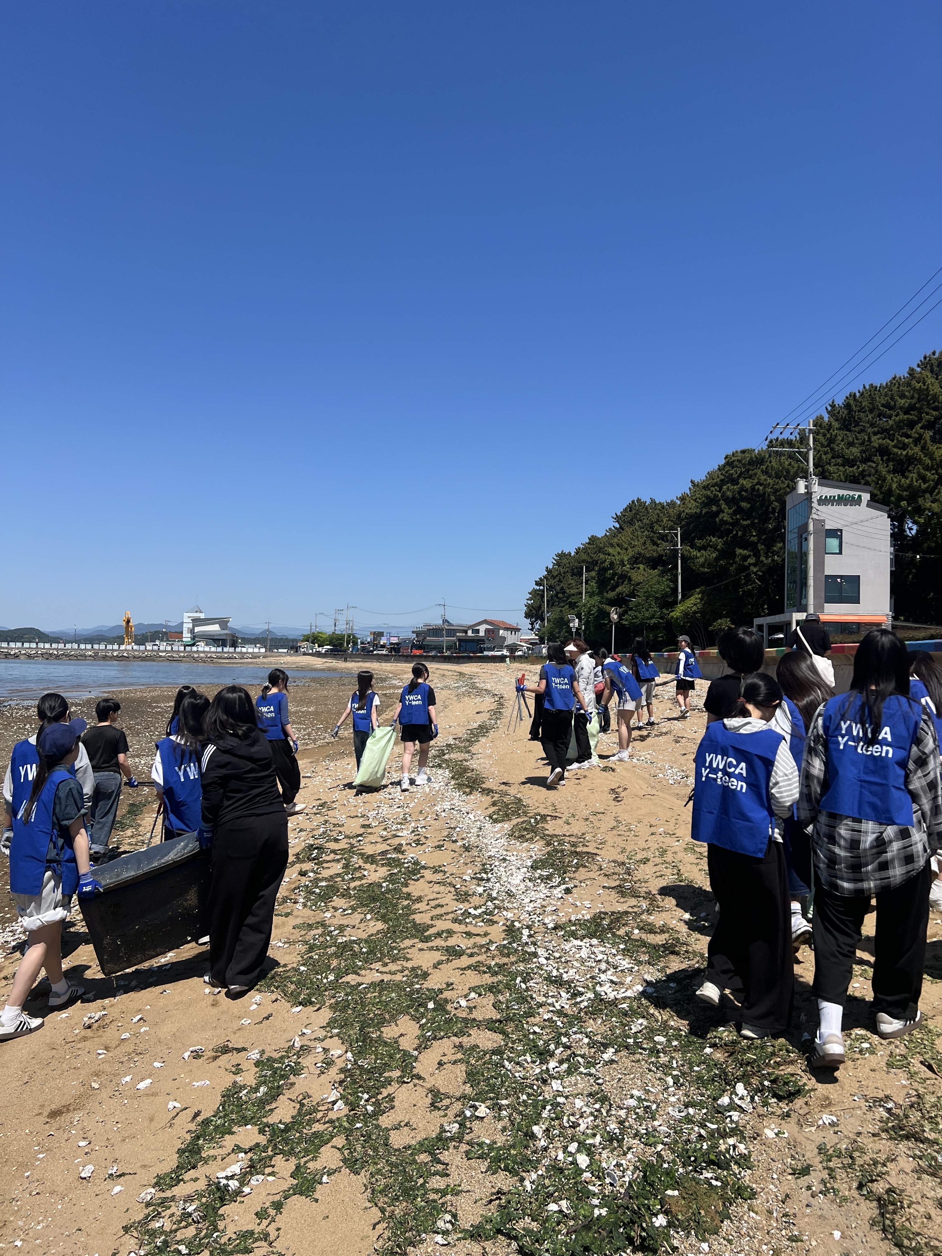 사천여중 환경동아리, 해양 쓰레기 모니터링 및 정화 활동 참여 - 관련이미지2