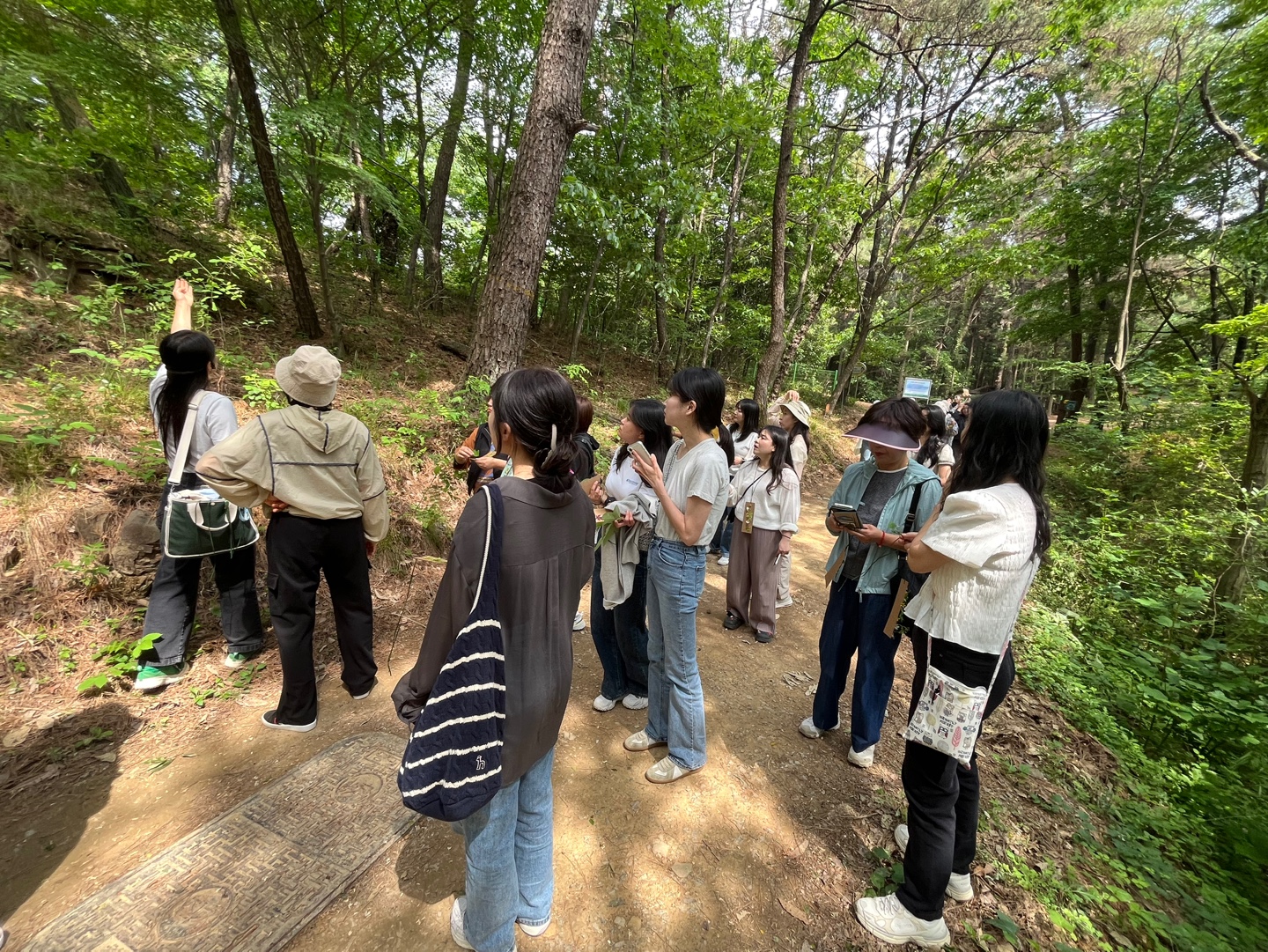 2025. 교육과정 거점유치원(한울유치원) 교원 연수 실시  -그림책 놀이를 통한 생태전환교육 역량 강화- - 관련이미지2
