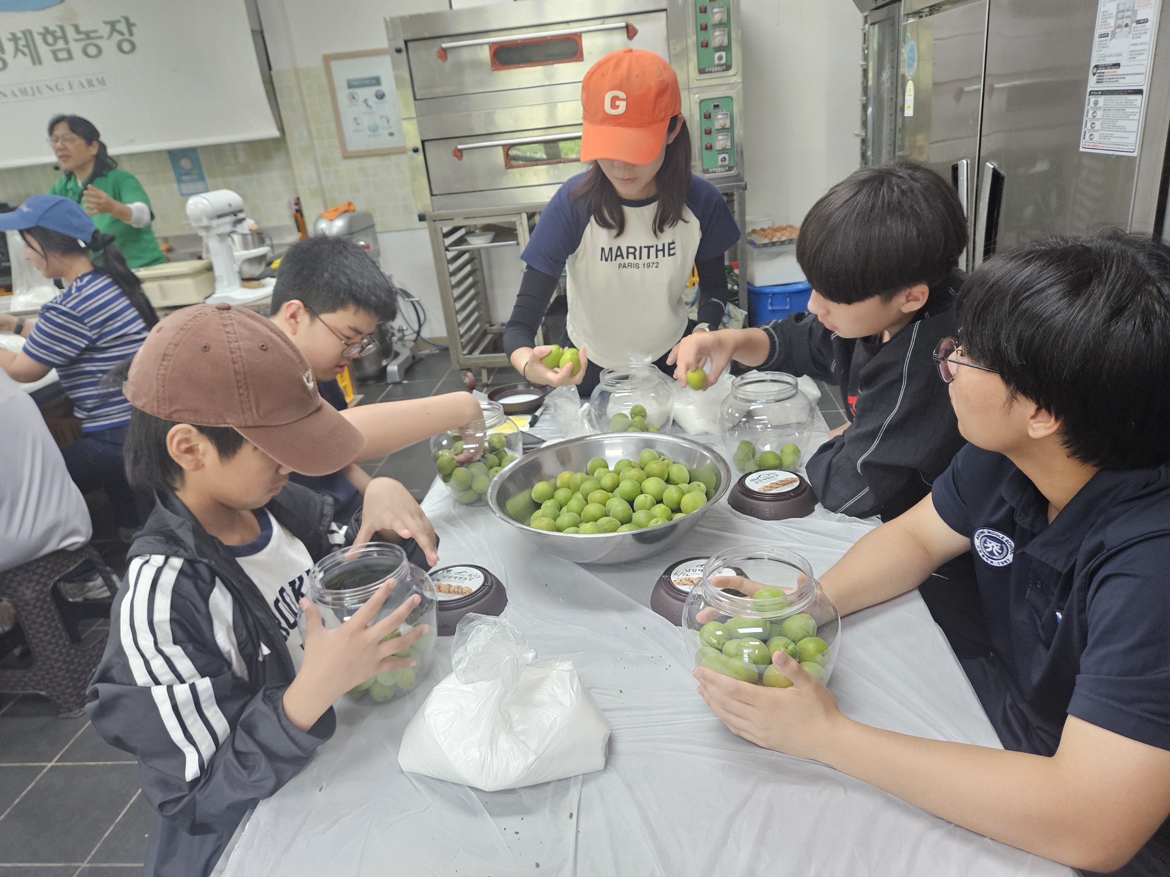 매실향 따라 웃음꽃 활짝 … 지정중학교, 교육공동체와 함께한 특별한 하루 - 관련이미지2