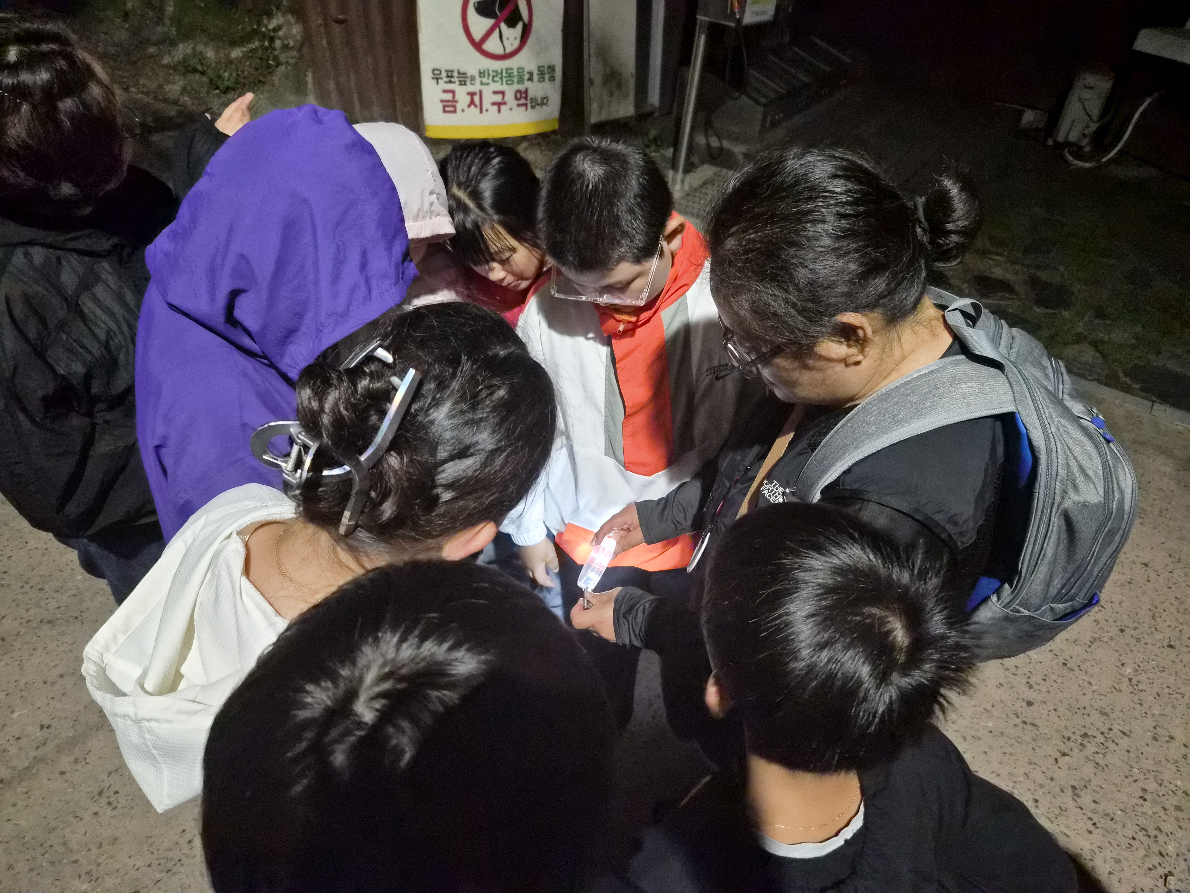 대지초, 전교생이 함께하는 우포늪 생태학습 “반딧불이와 함께한 특별한 밤” - 관련이미지3
