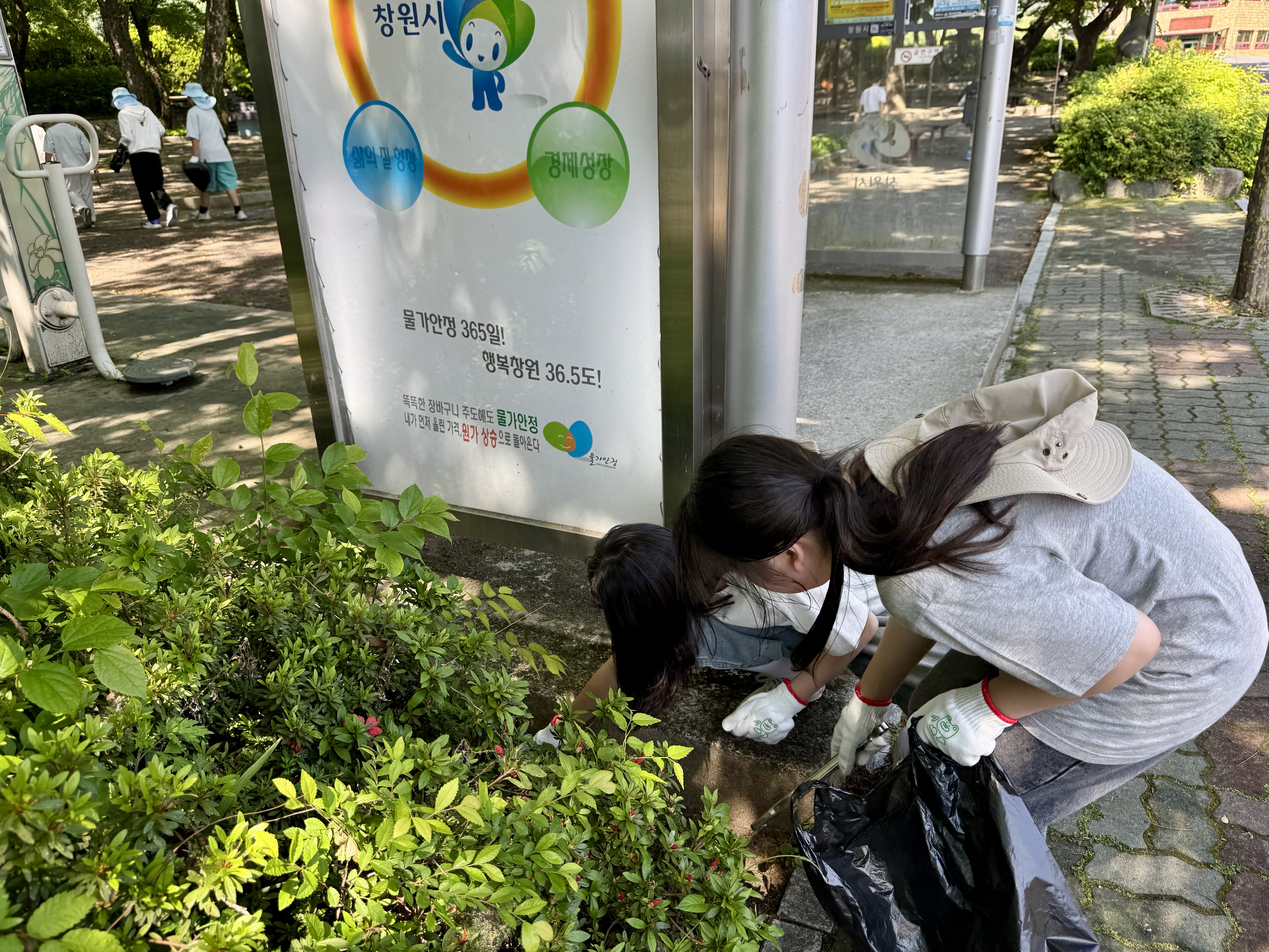 창원 하북초, 숲에서 배우고 마을에서 실천하다 - 관련이미지2