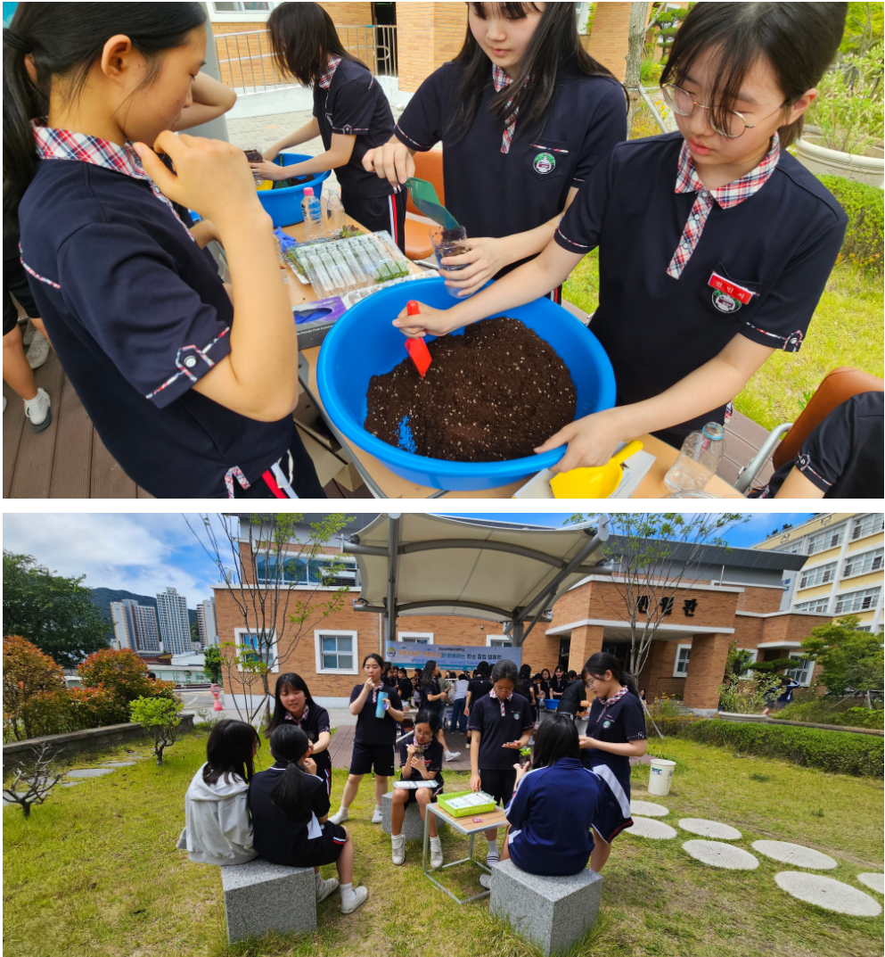 마산무학여자중학교, 세계 환경의 날 맞이 ‘탄소중립 캠페인’ 성황리에 개최 - 관련이미지4