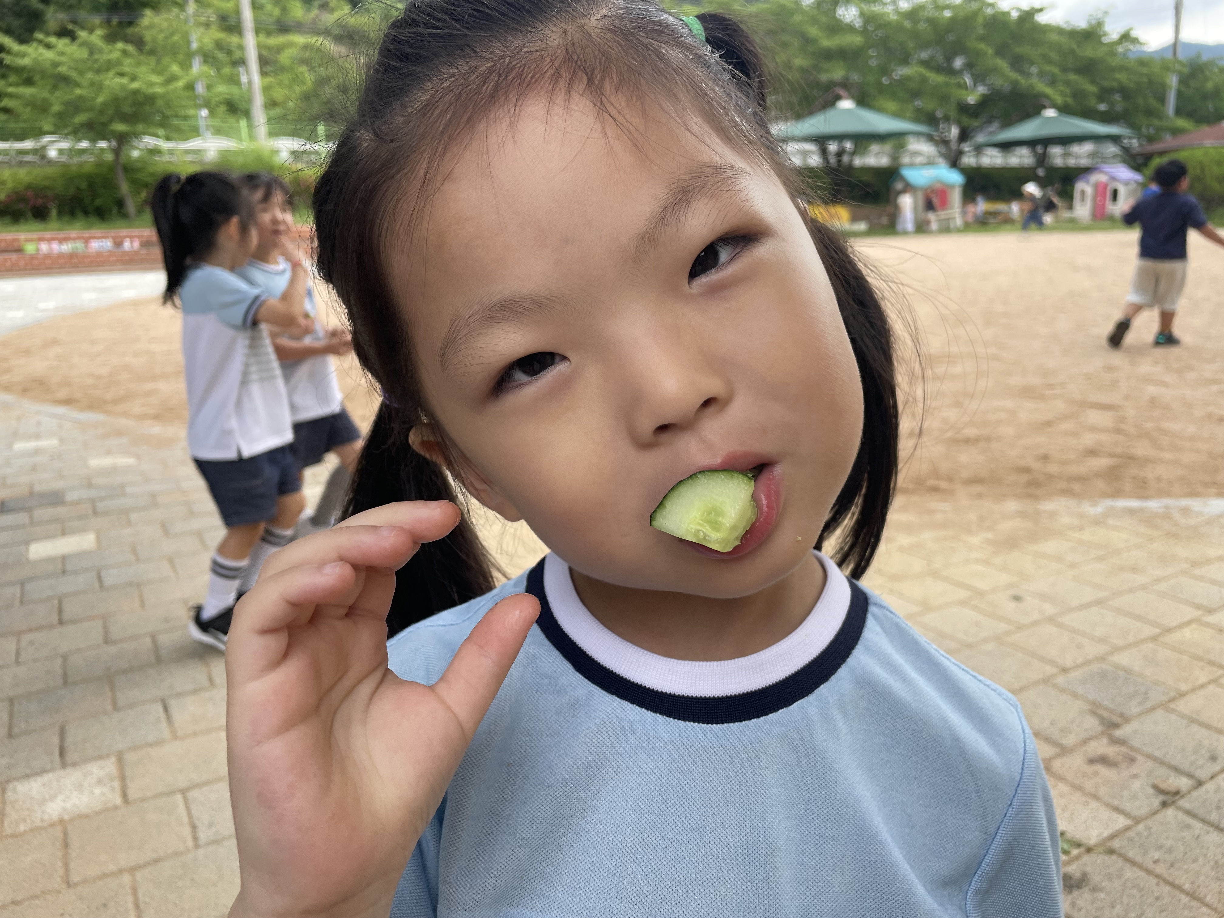 장유유치원, 생태감수성 함양을 위한 ‘초록 삼겹 데이’ - 관련이미지3