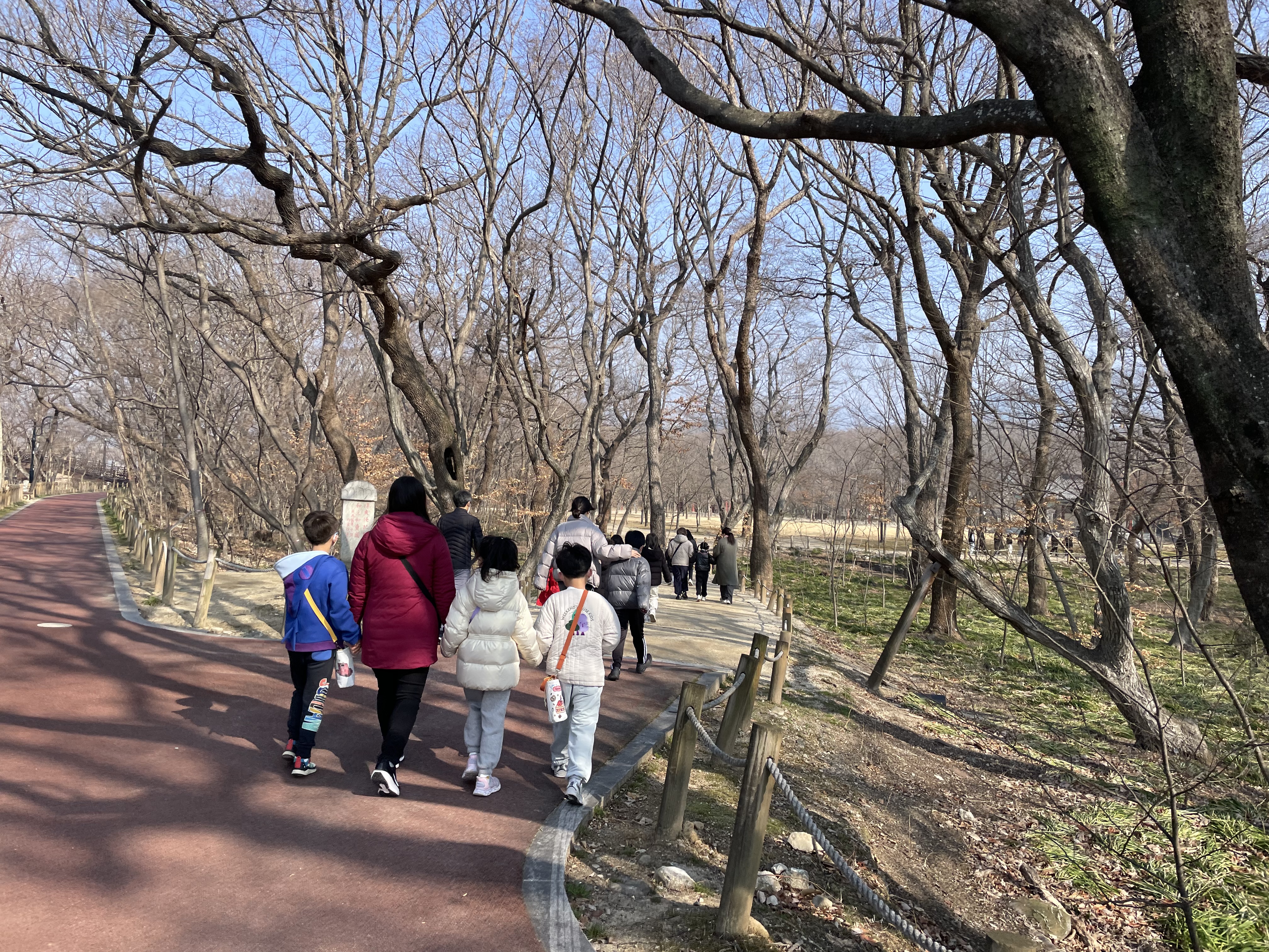  위림초, 전교생이 상림의 기운을 받아 새학년 다짐 실시  - 관련이미지2