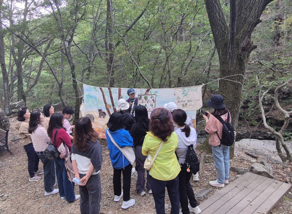 김해교육지원청, 교실을 벗어난 교원들  숲속에서 ‘마음의 쉼표’를 찍다. - 관련이미지2