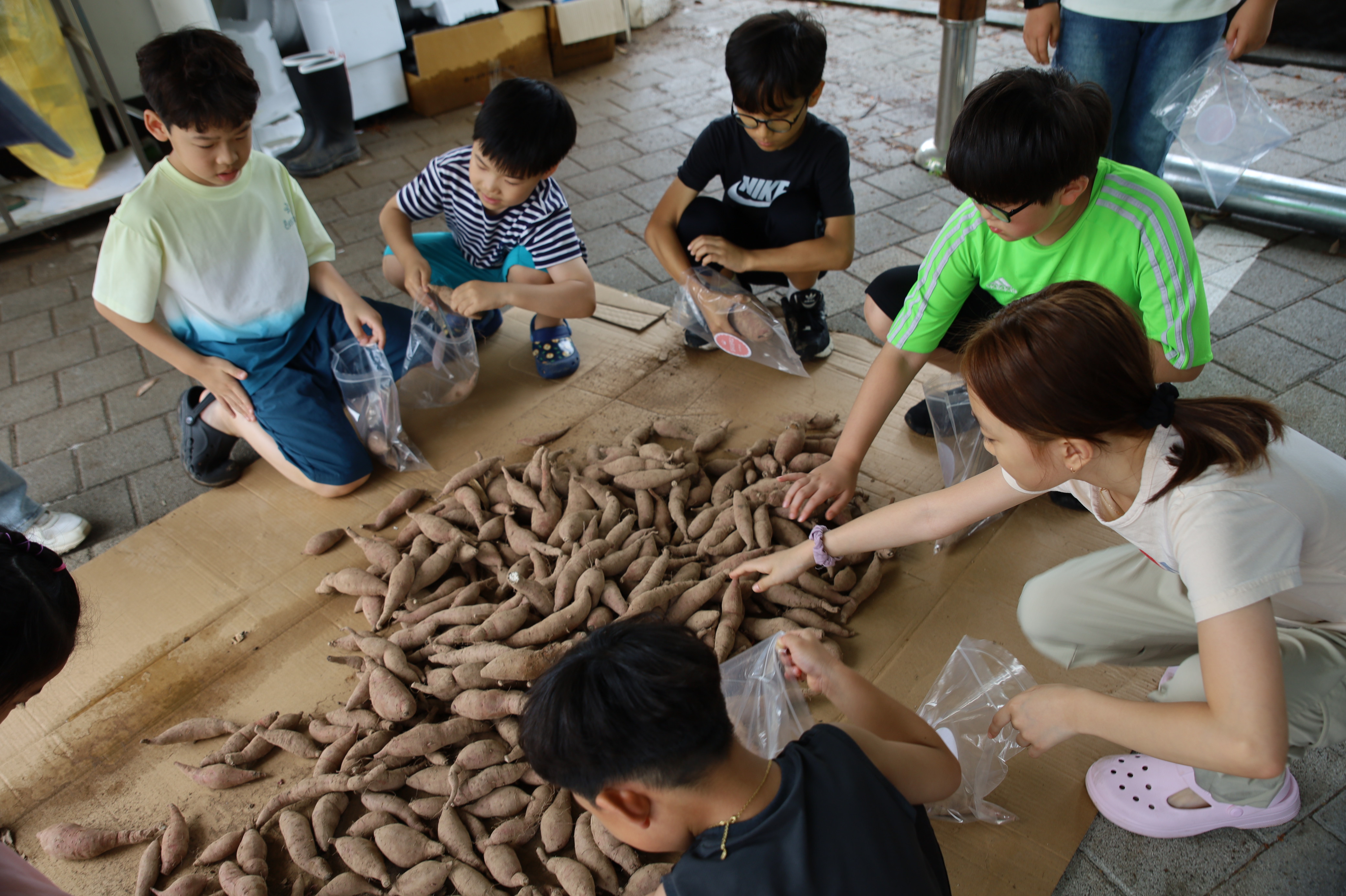 의령 칠곡초, 유‧초연계 행복나눔 텃밭 ‘새참데이’ 진행 - 관련이미지3